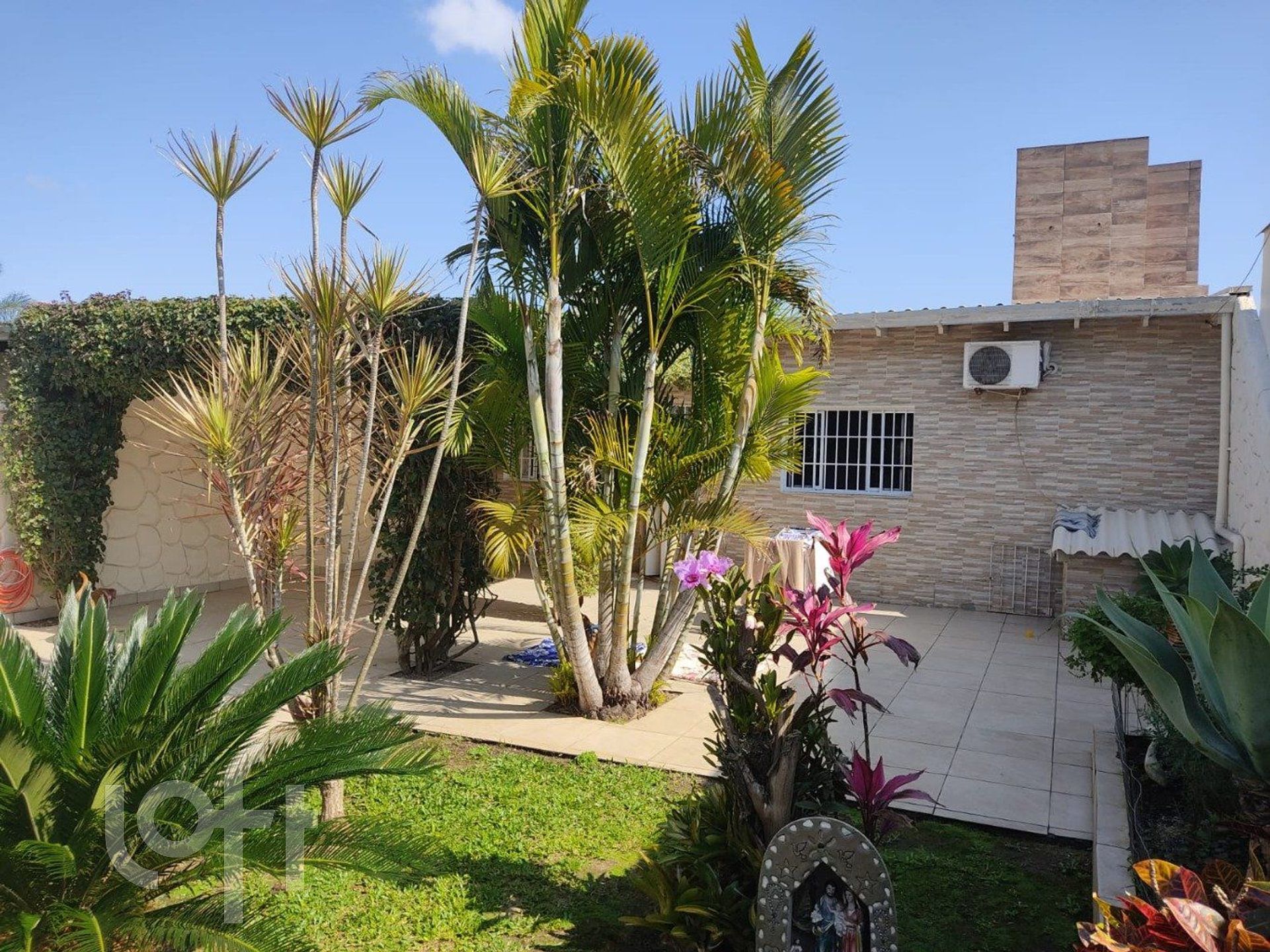 Imagem da propriedade 3