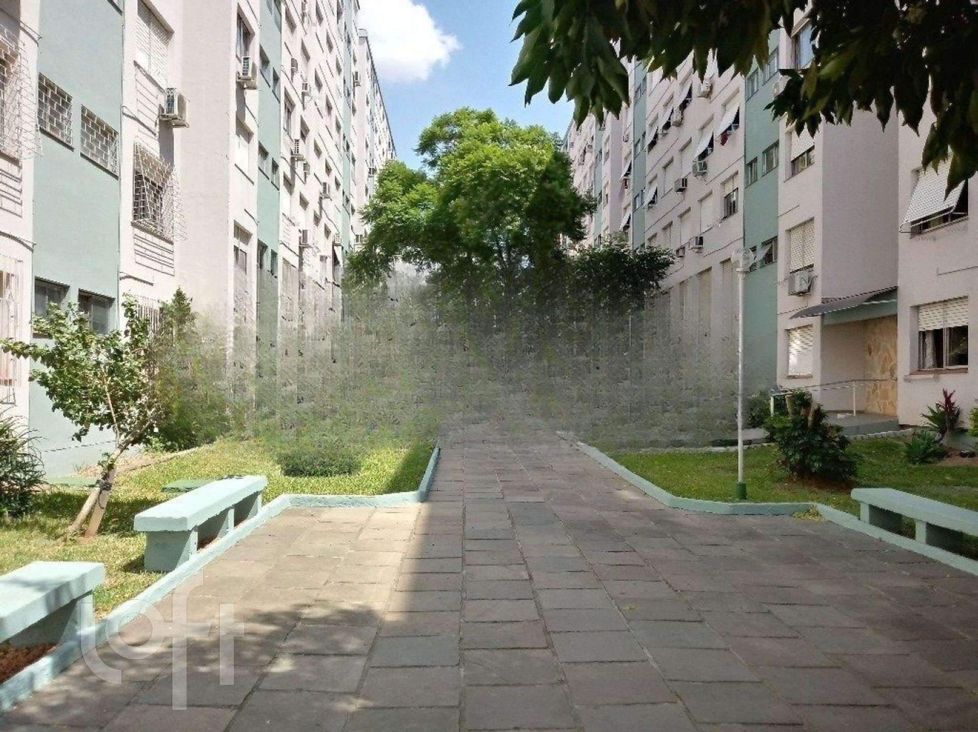 Imagem da propriedade 13