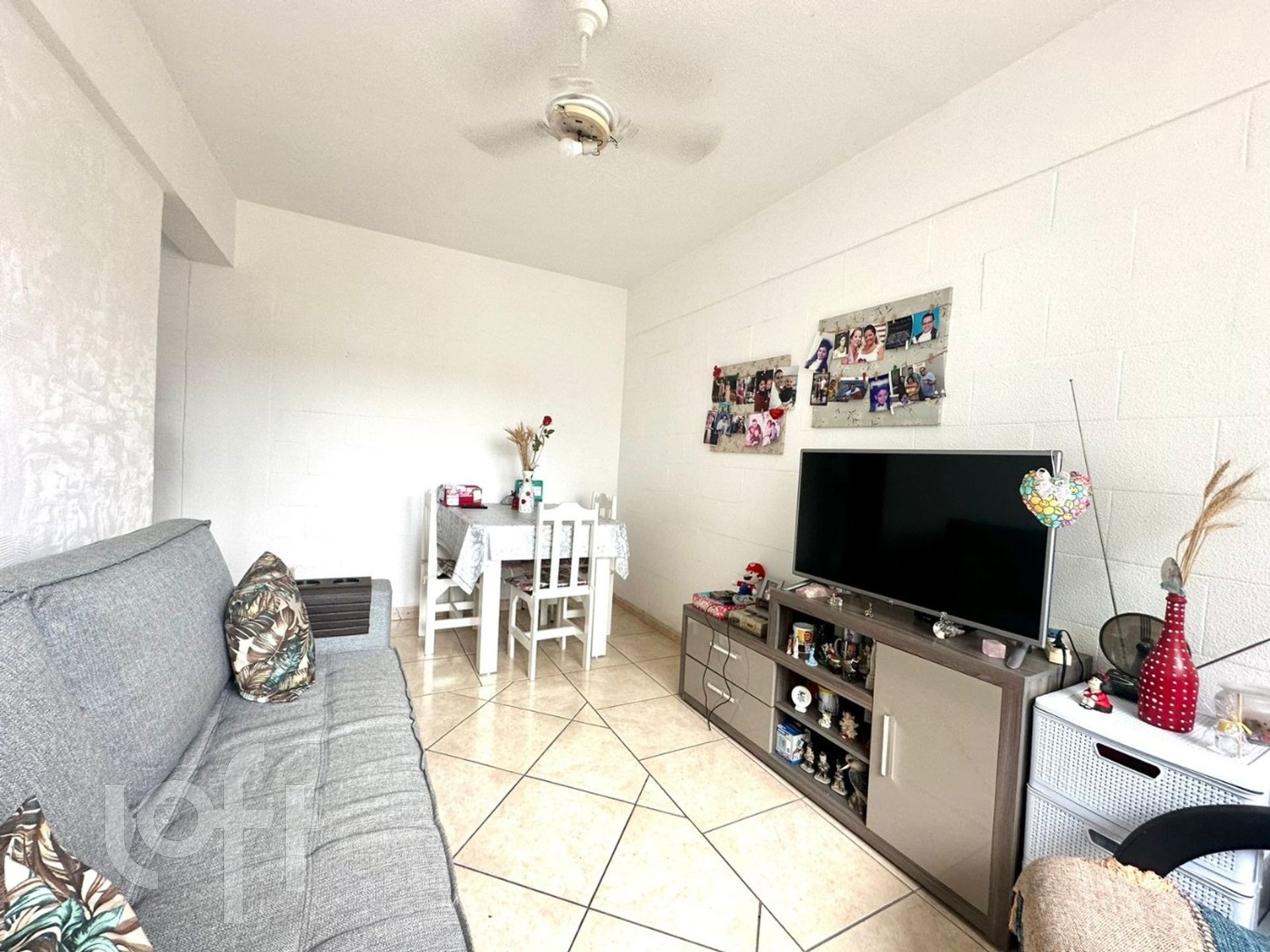 Imagem da propriedade 4