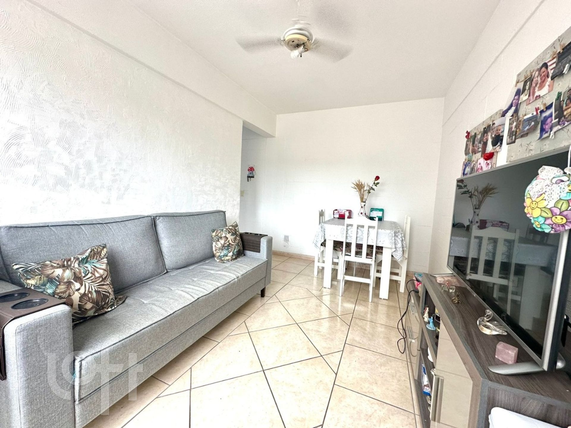 Imagem da propriedade 3