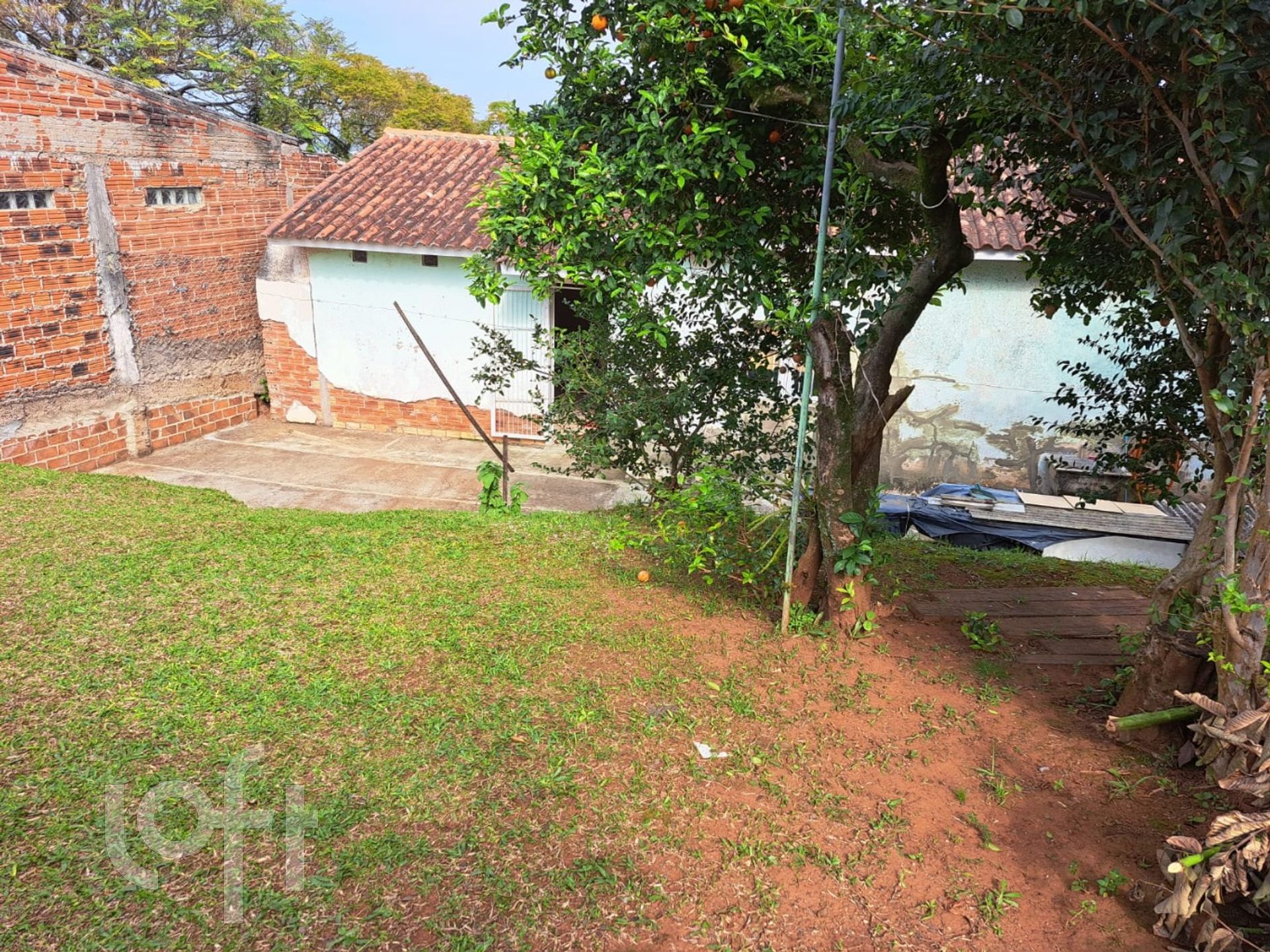 Imagem da propriedade 18