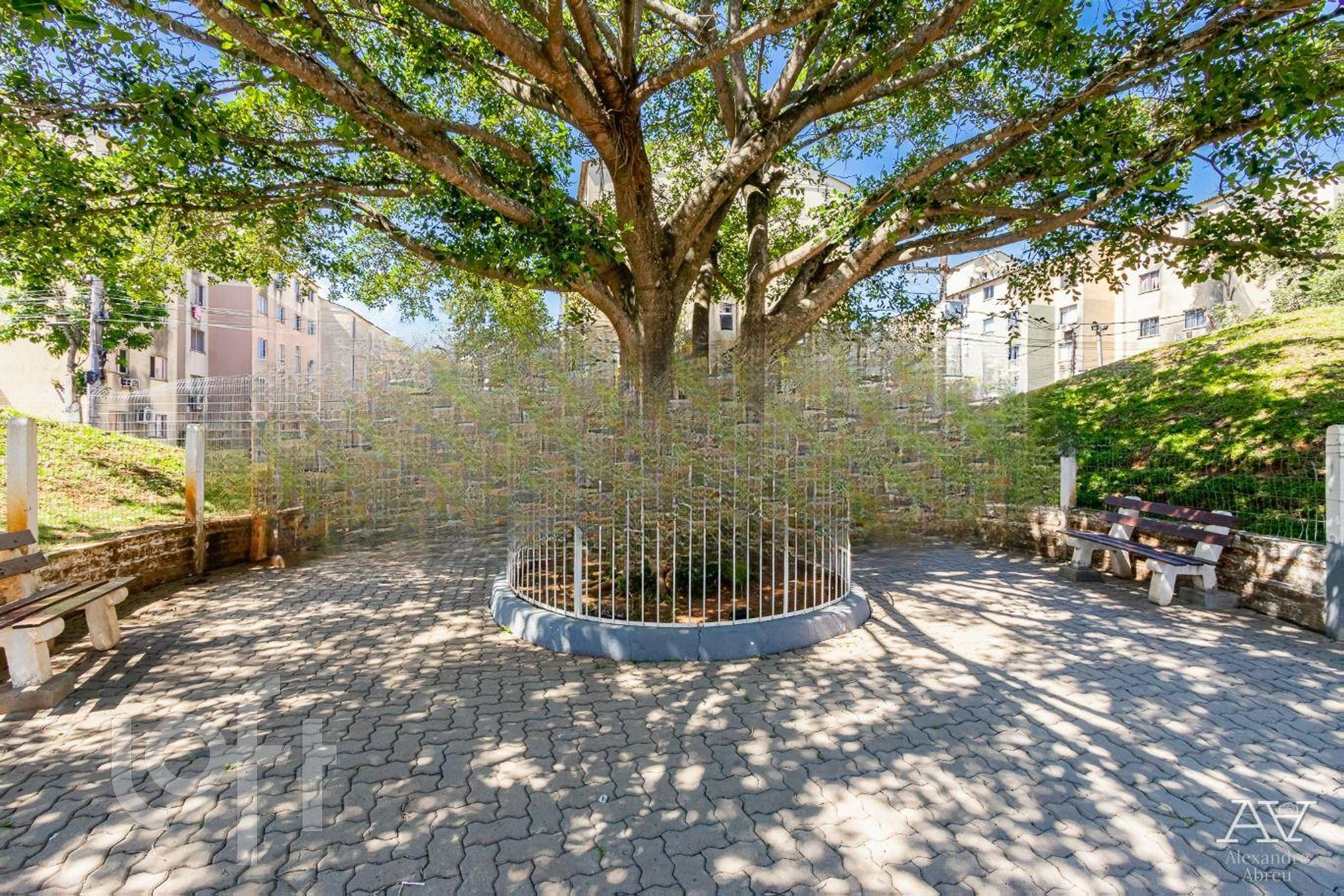 Imagem da propriedade 8