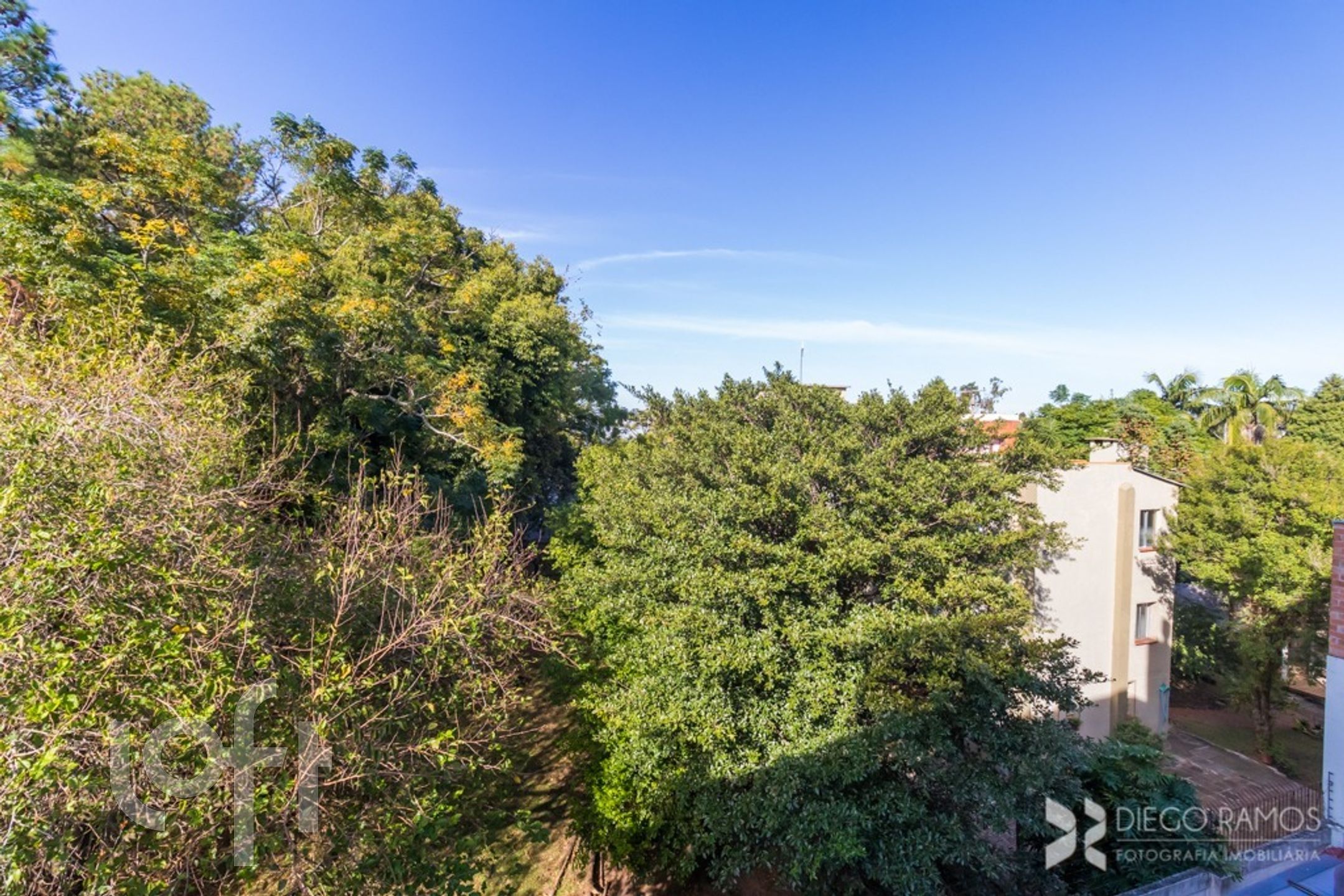 Imagem da propriedade 20