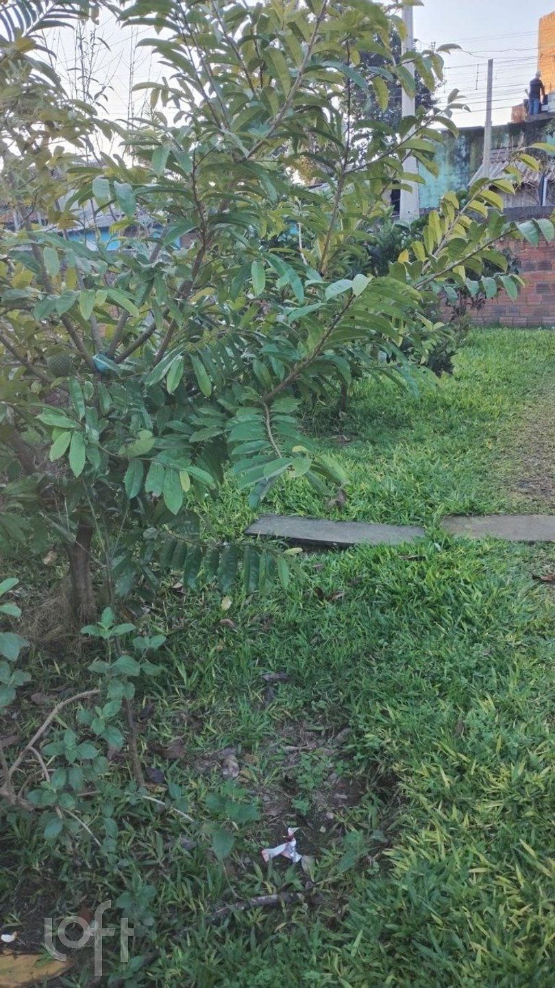 Imagem da propriedade 6