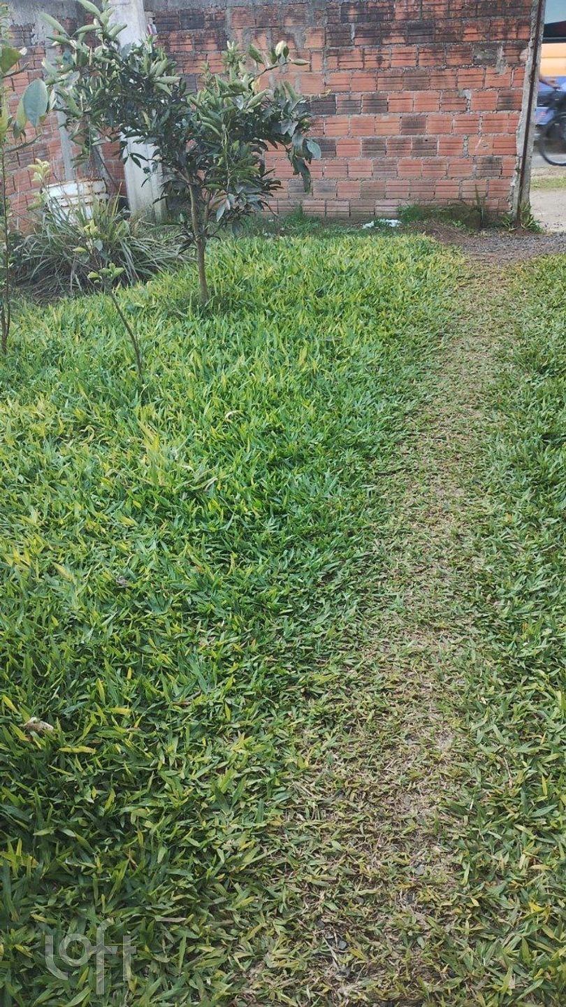 Imagem da propriedade 3