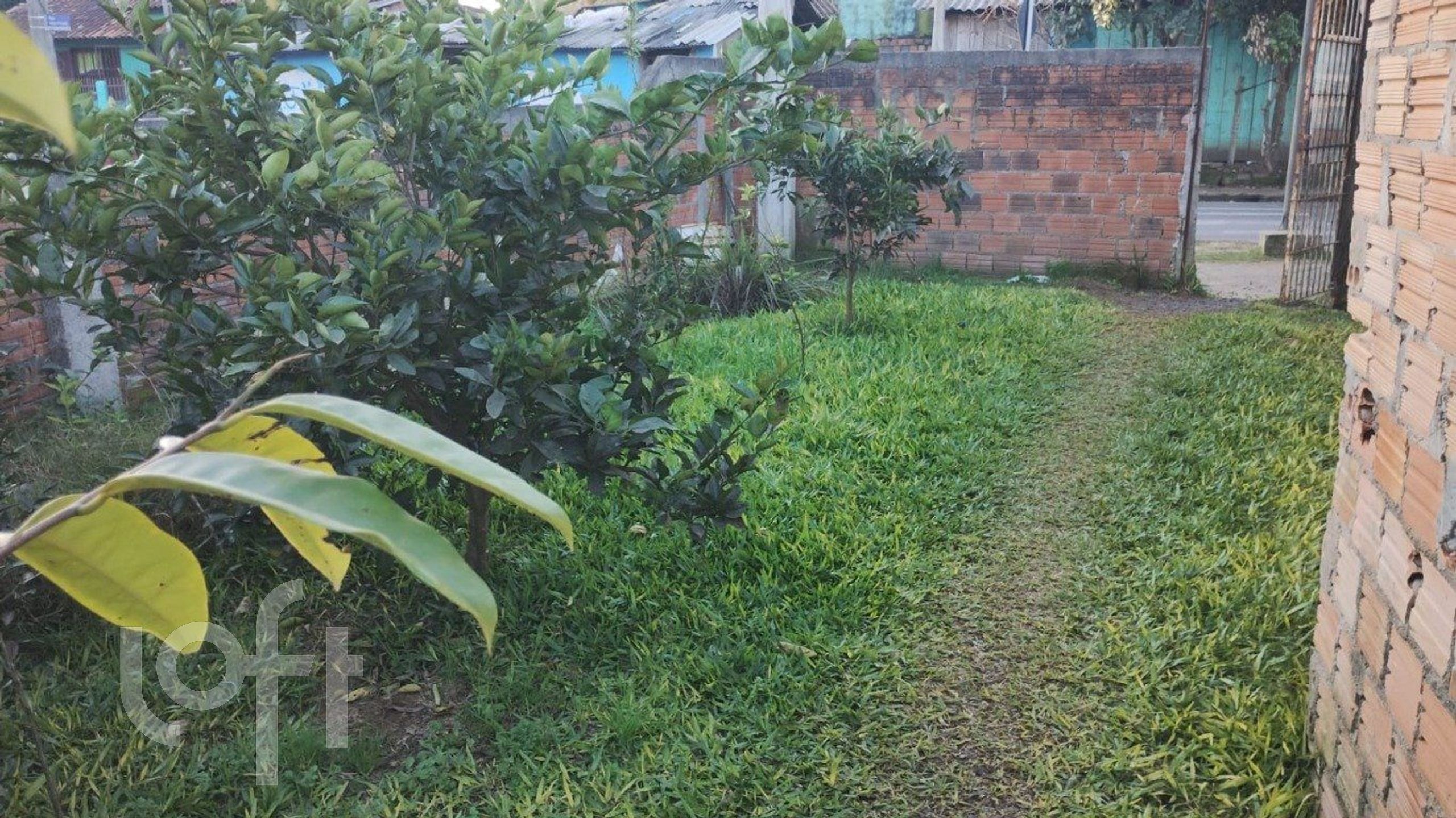 Imagem da propriedade 7