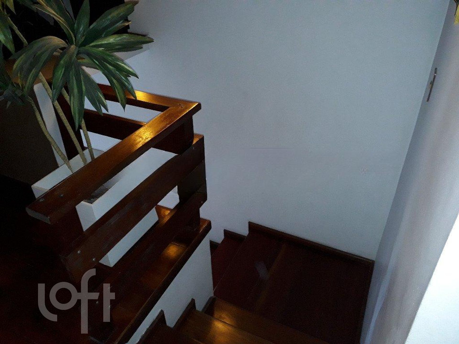 Imagem da propriedade 11