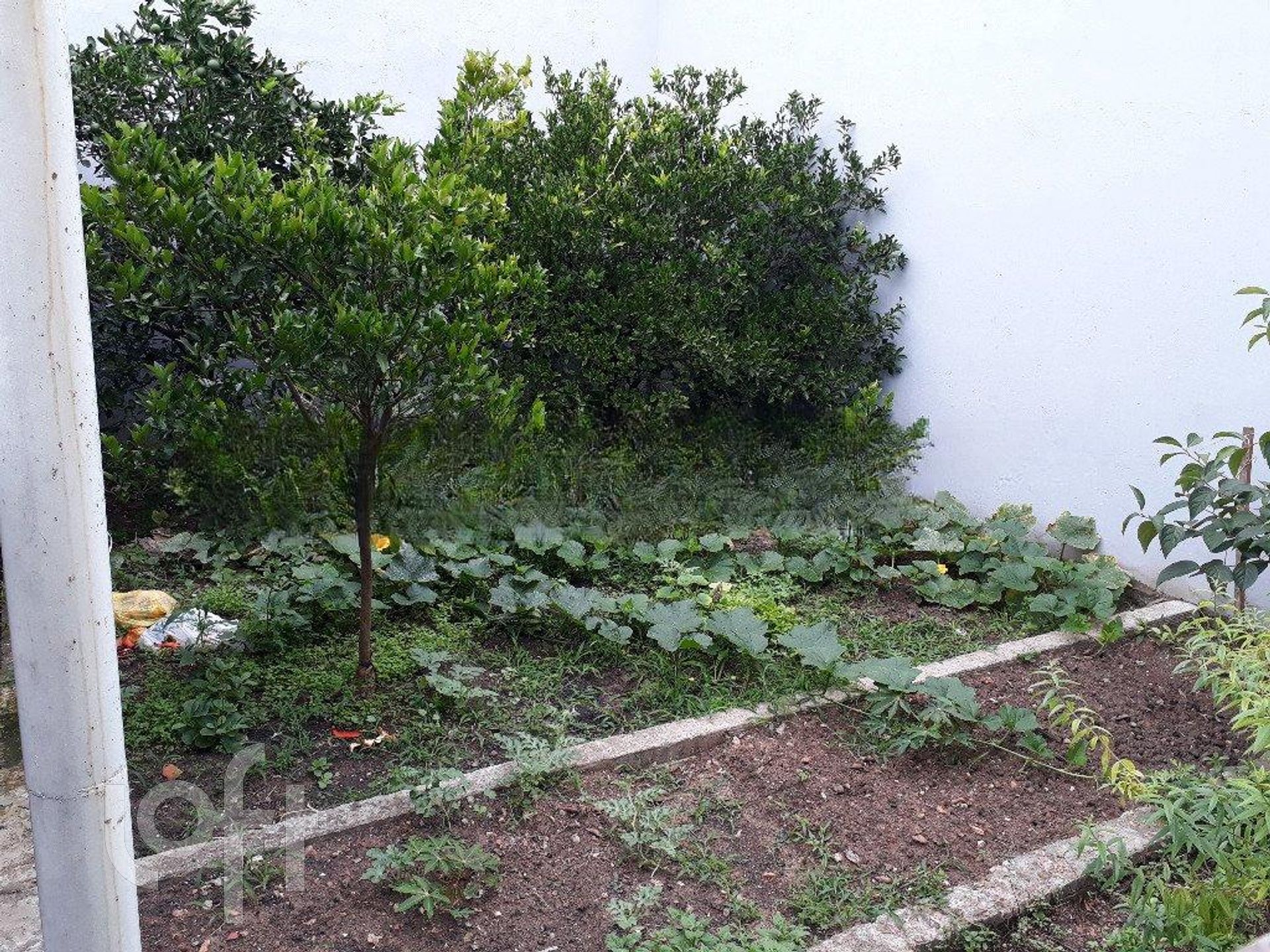 Imagem da propriedade 36