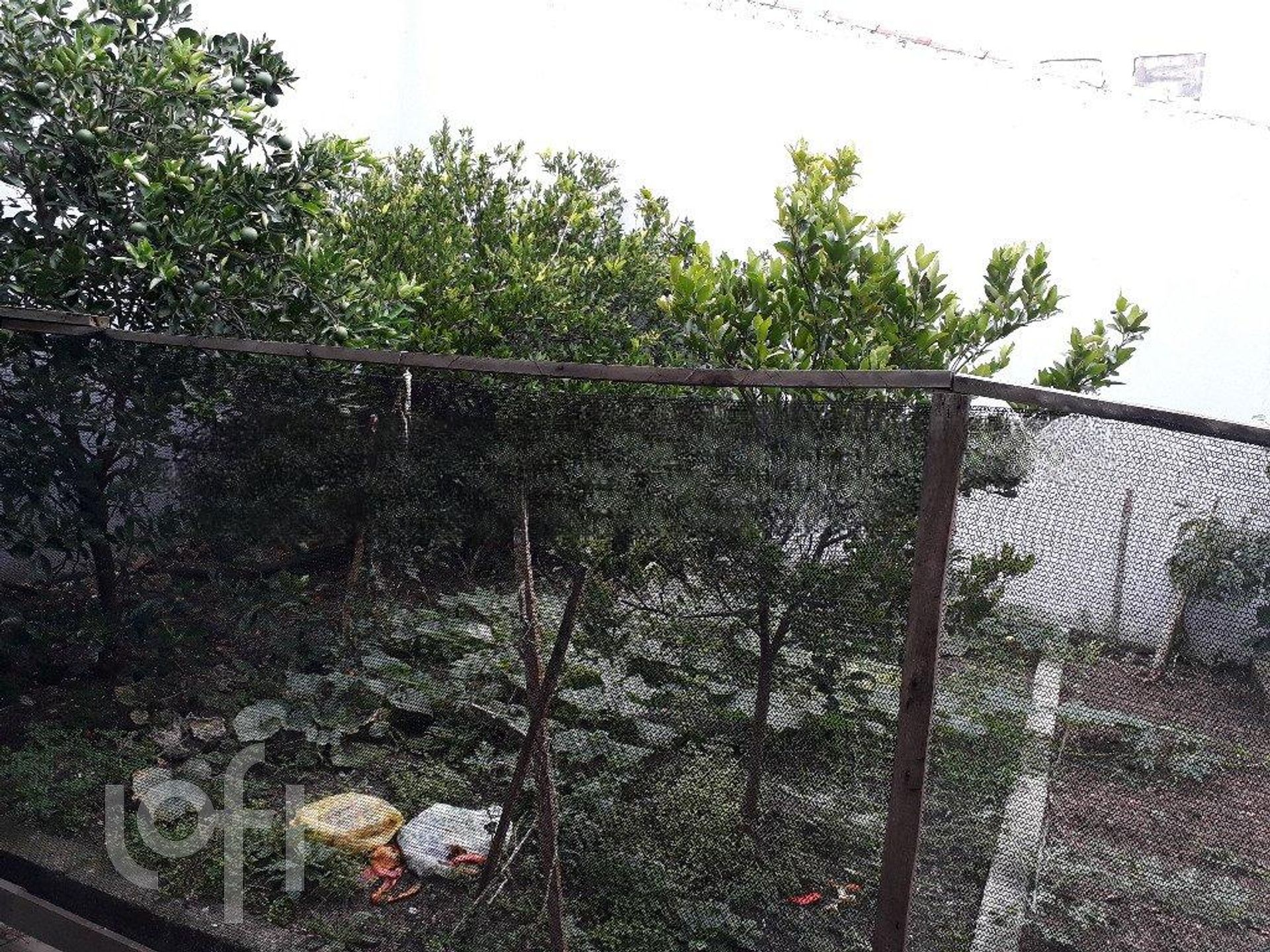 Imagem da propriedade 37