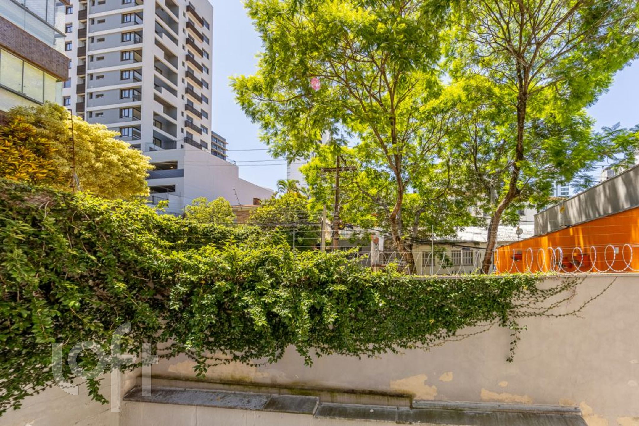 Imagem da propriedade 21