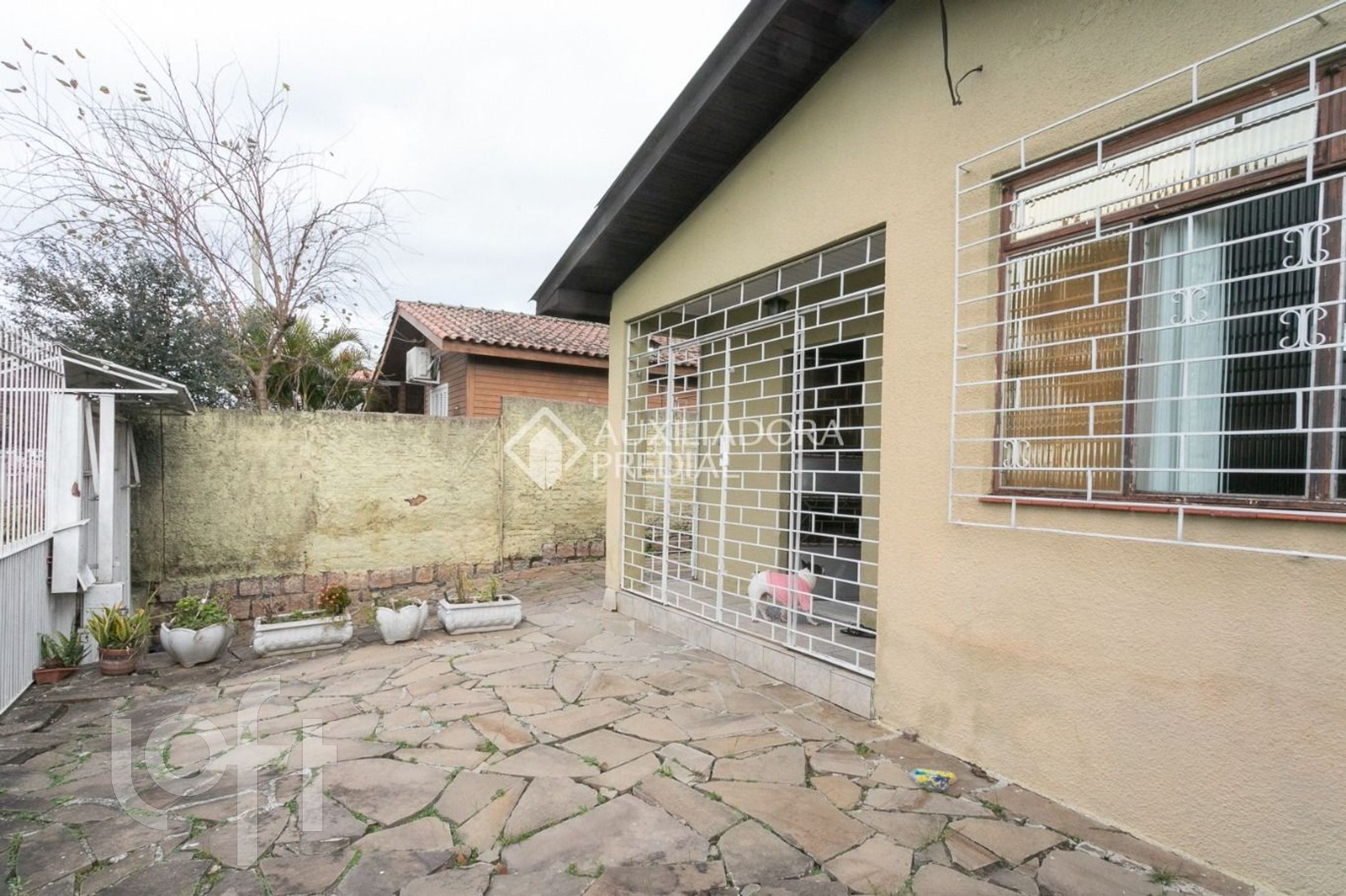 Imagem da propriedade 3