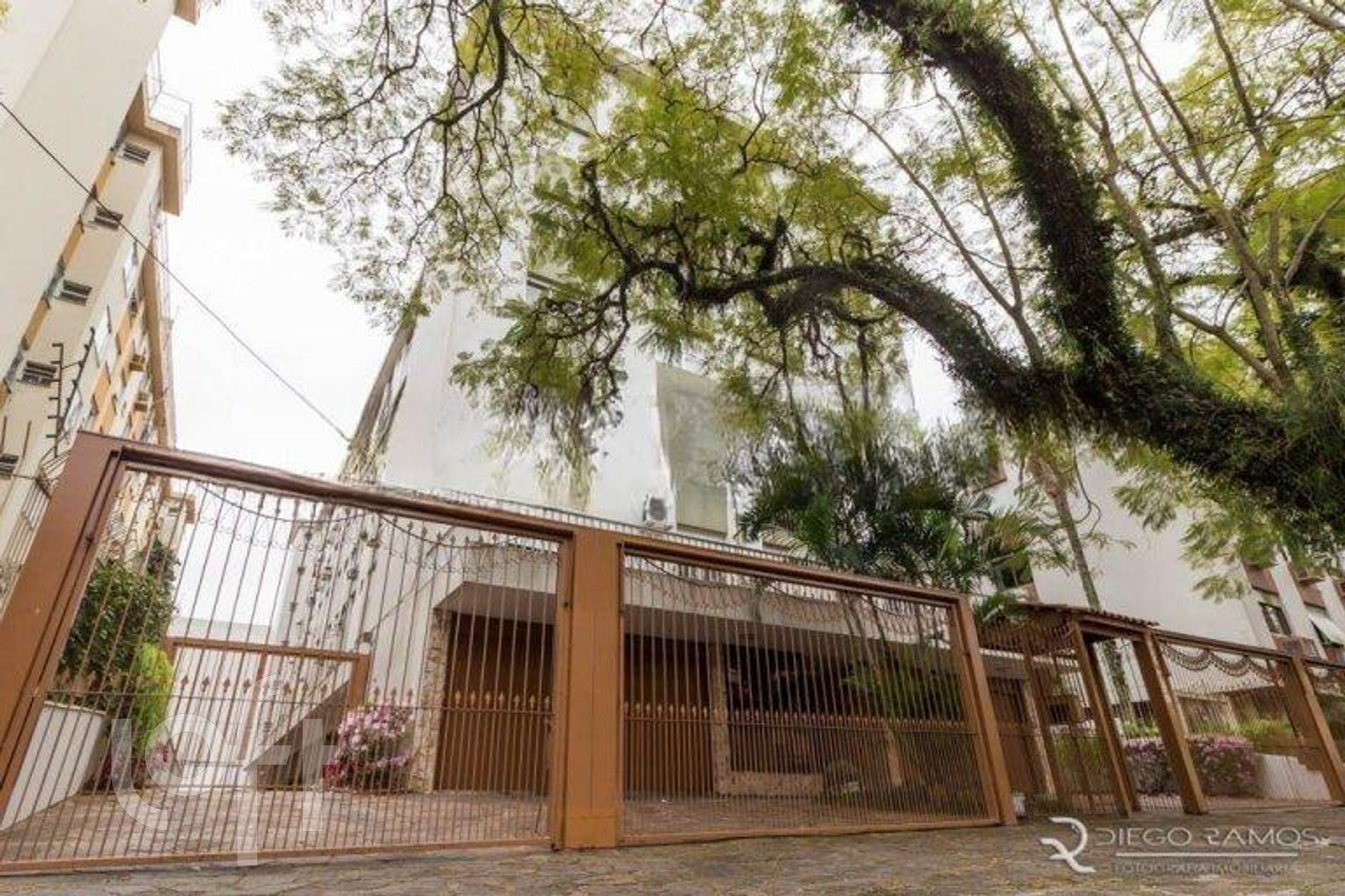 Imagem da propriedade 20