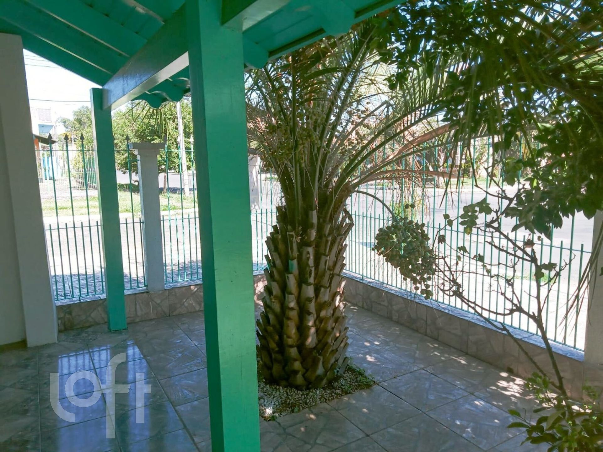 Imagem da propriedade 6