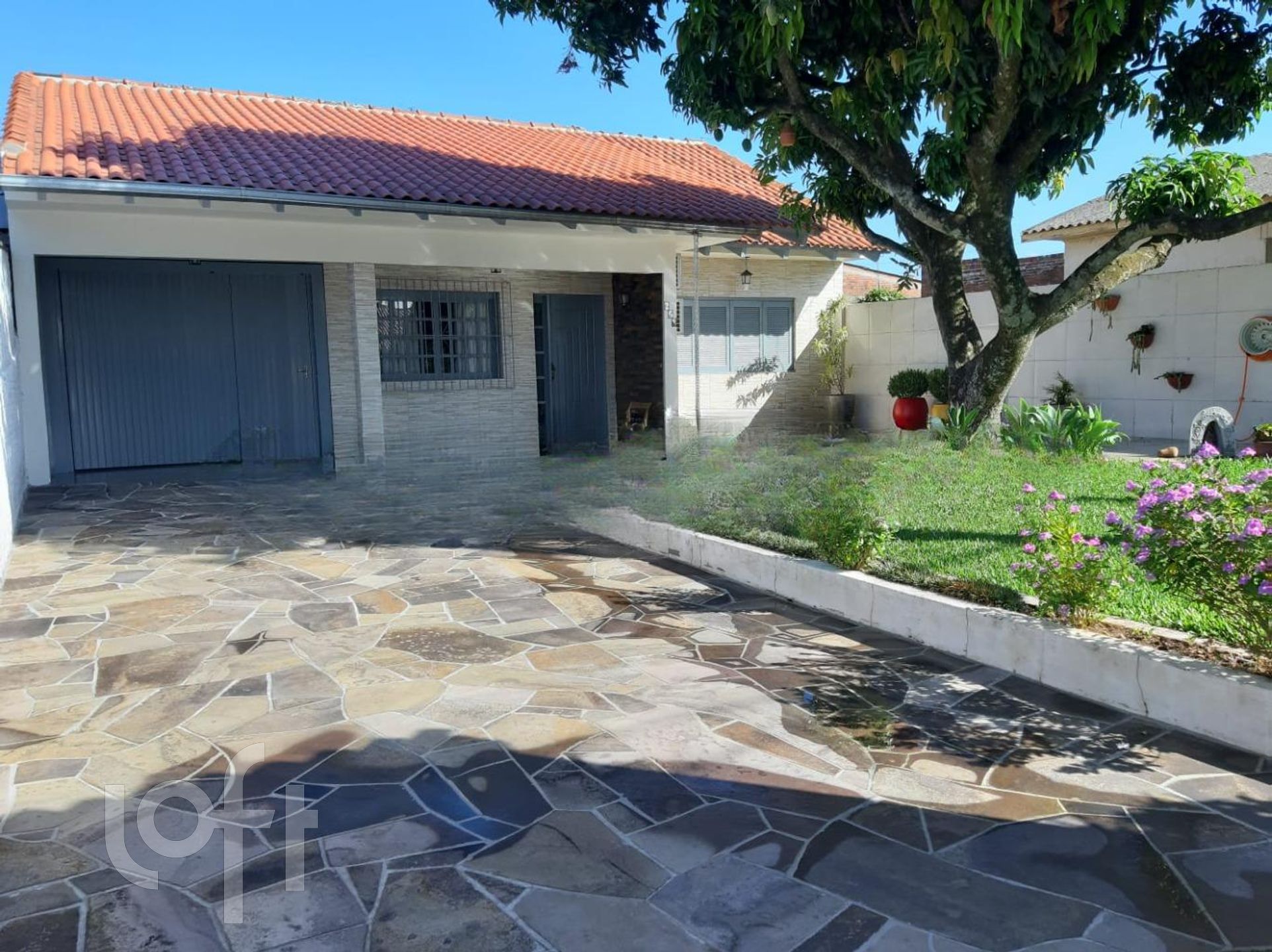 Imagem da propriedade 5