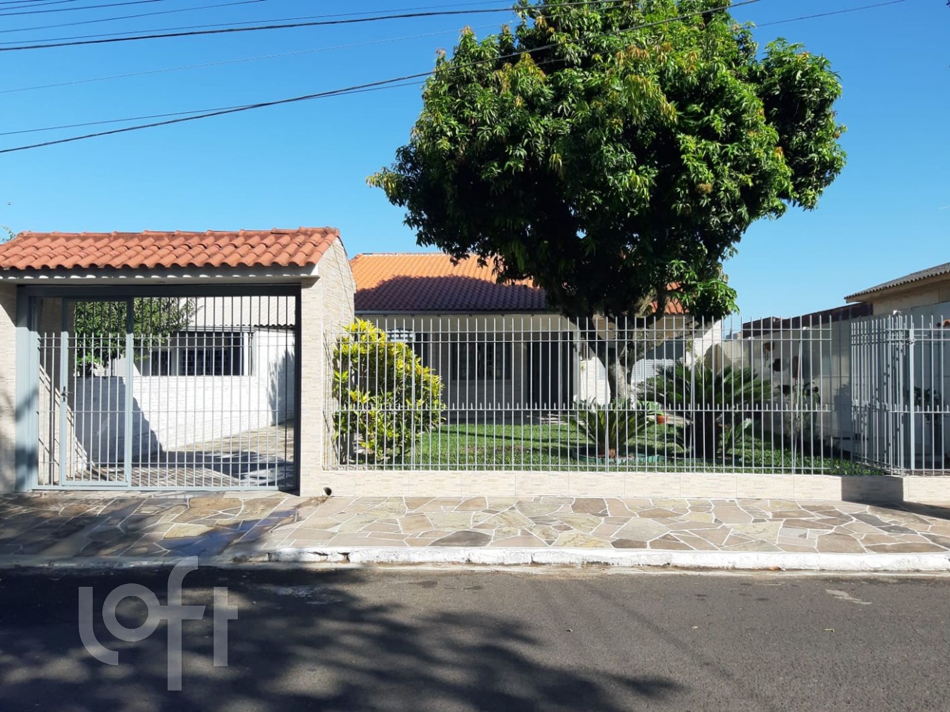 Imagem da propriedade 3