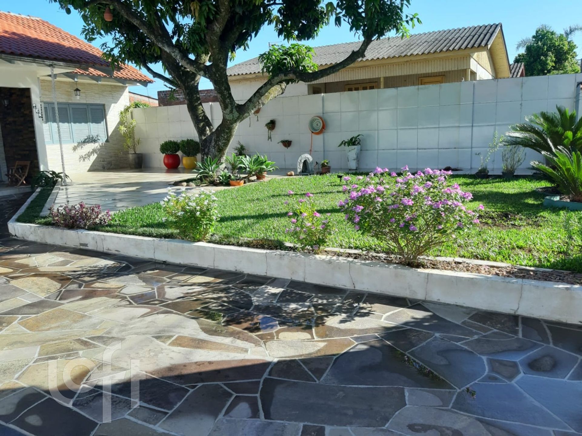 Imagem da propriedade 4