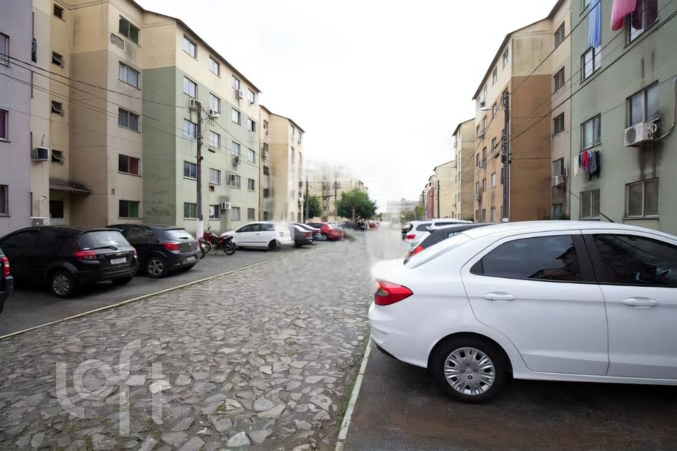 Imagem da propriedade 16