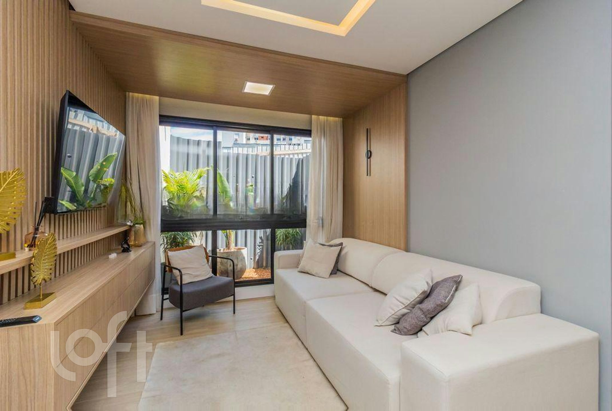 Imagem da propriedade 3