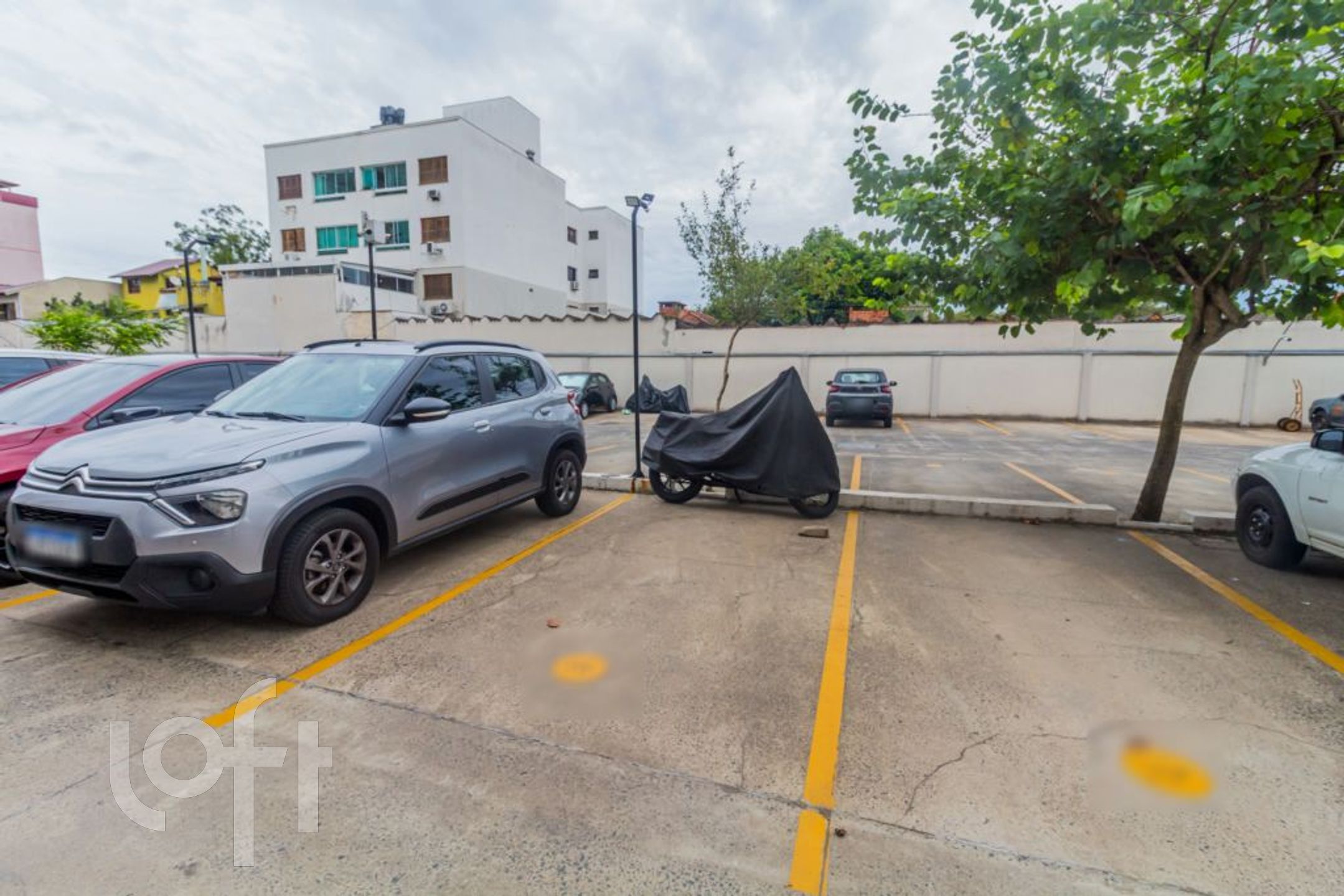 Imagem da propriedade 21