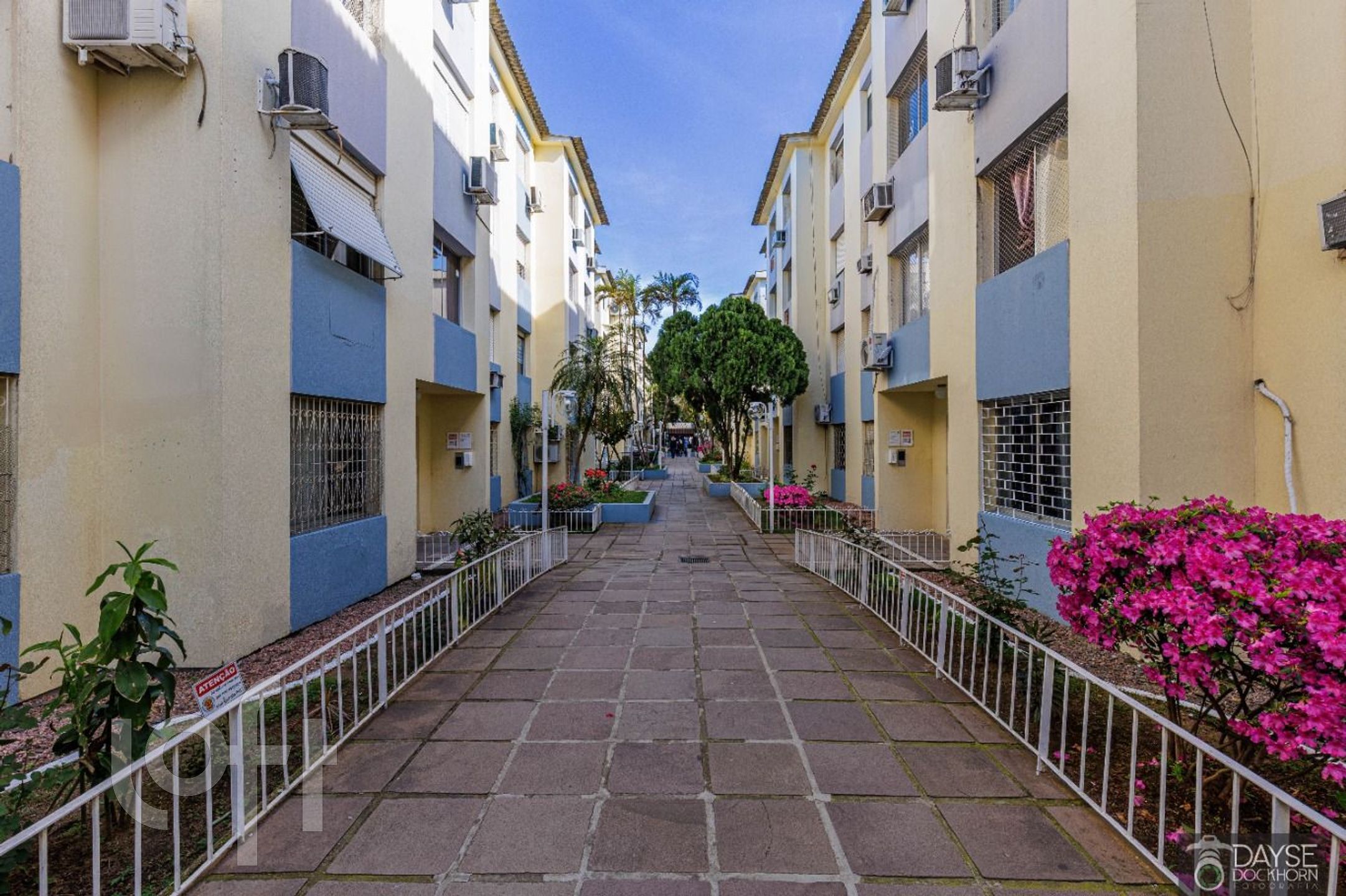 Imagem da propriedade 16