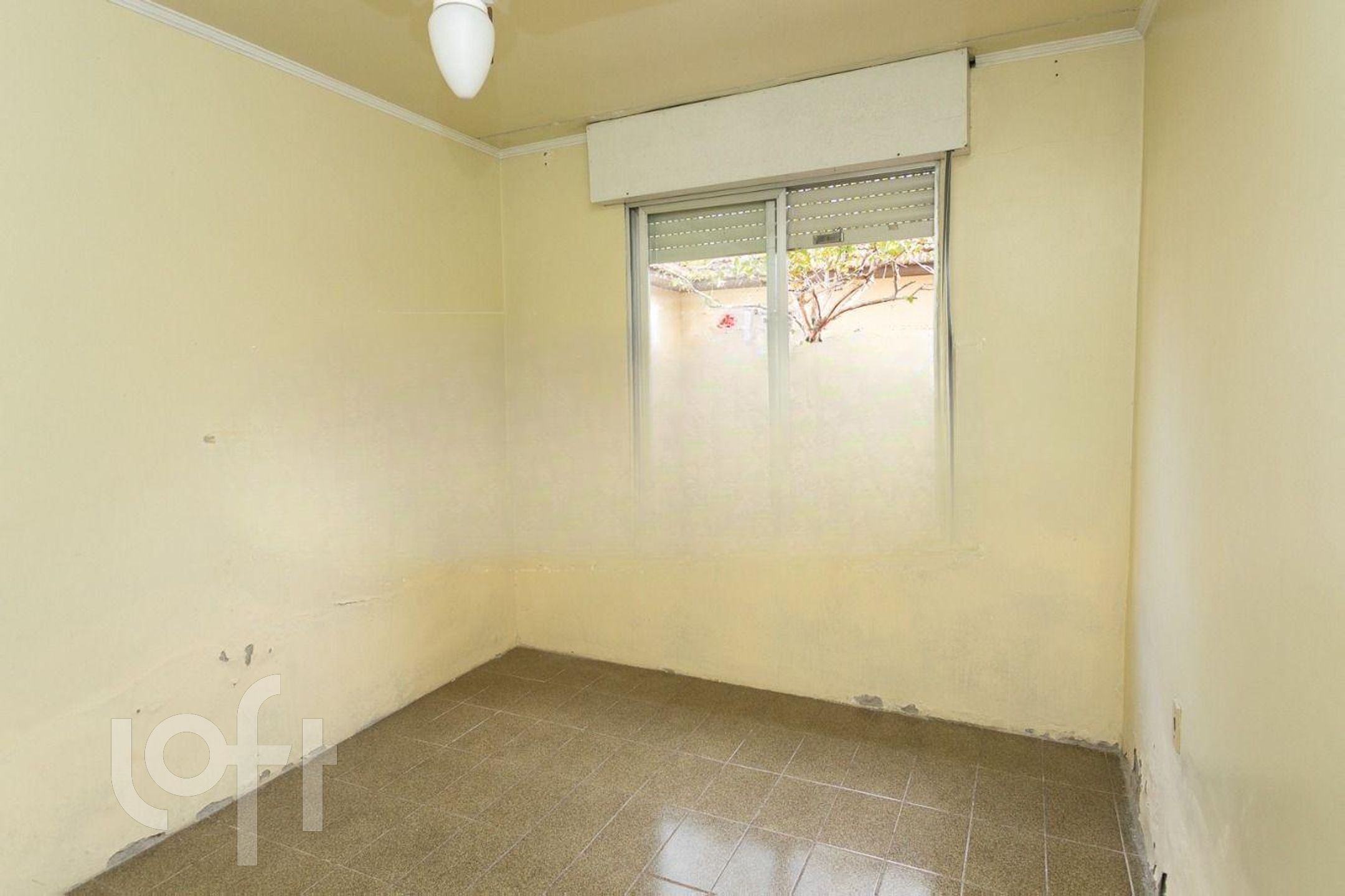 Imagem da propriedade 12