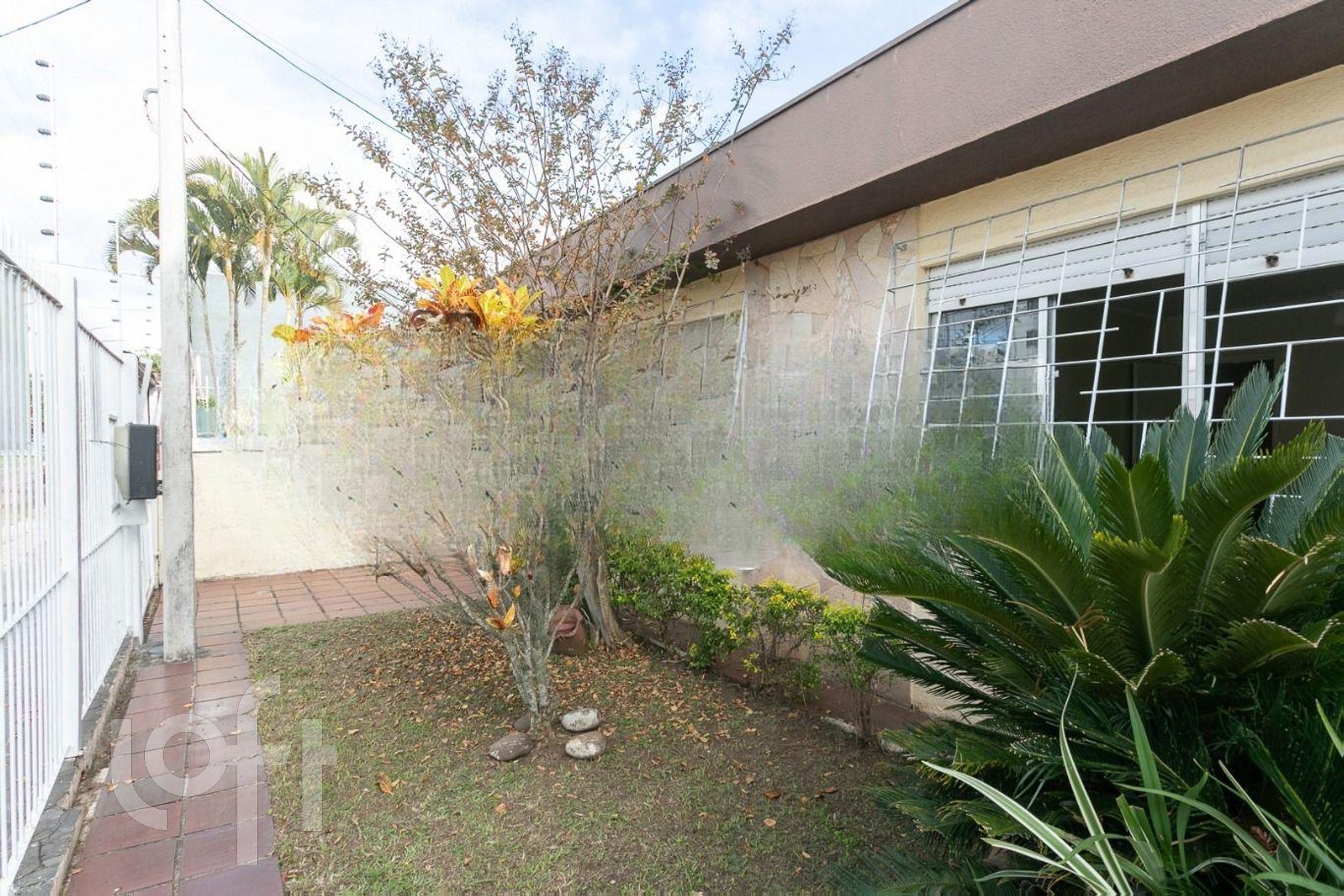 Imagem da propriedade 22