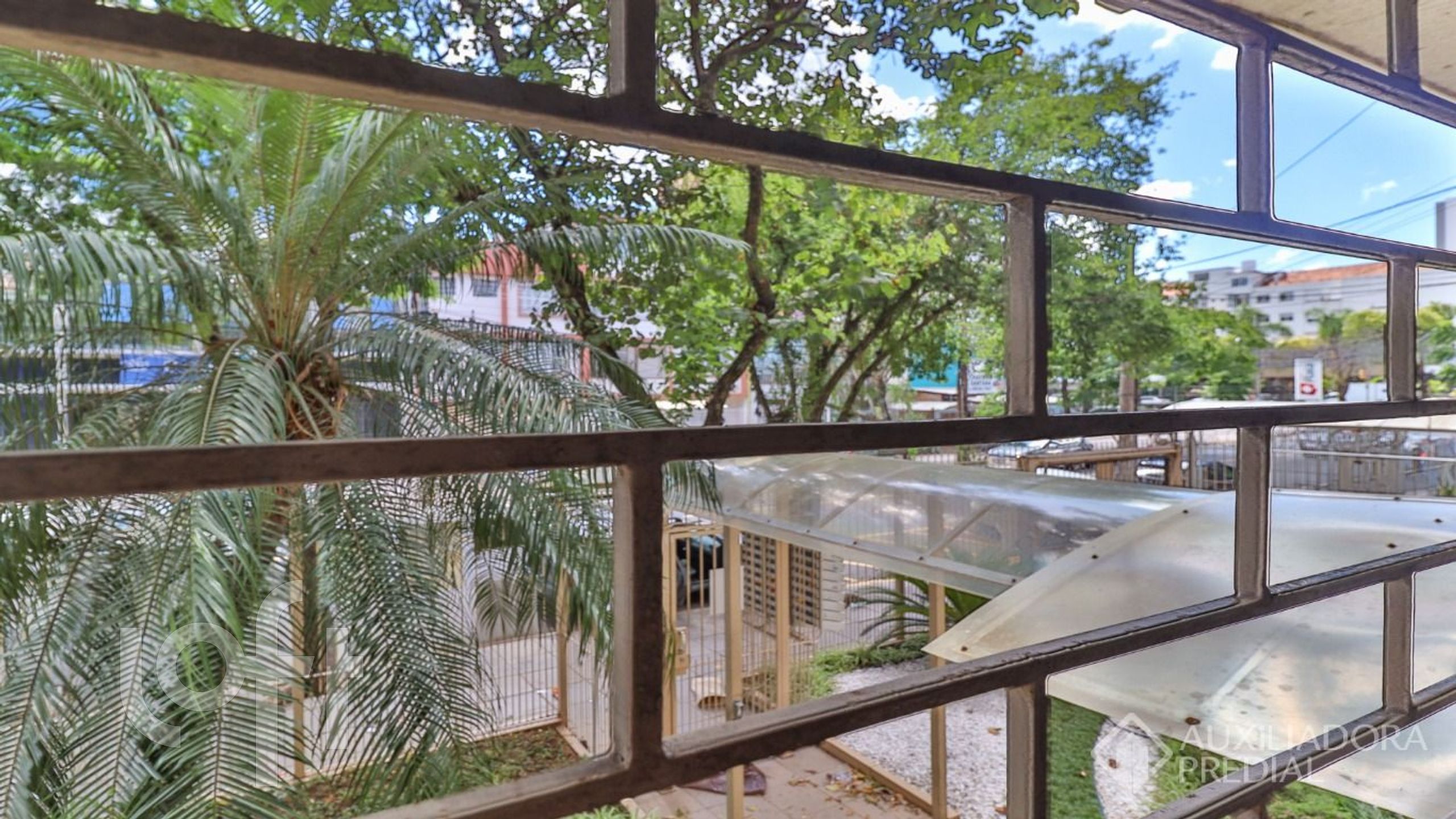 Imagem da propriedade 10