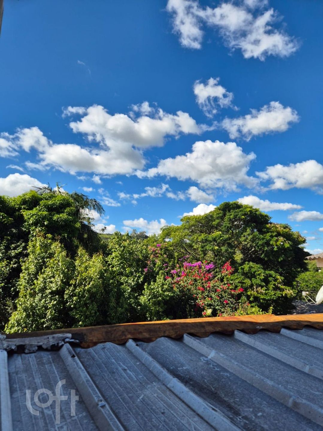 Imagem da propriedade 21