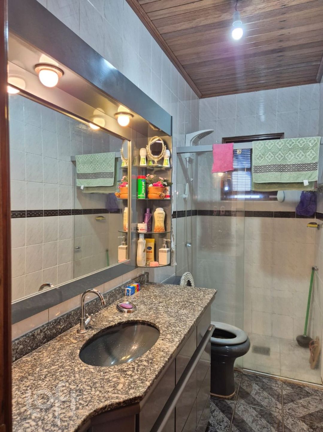 Imagem da propriedade 3