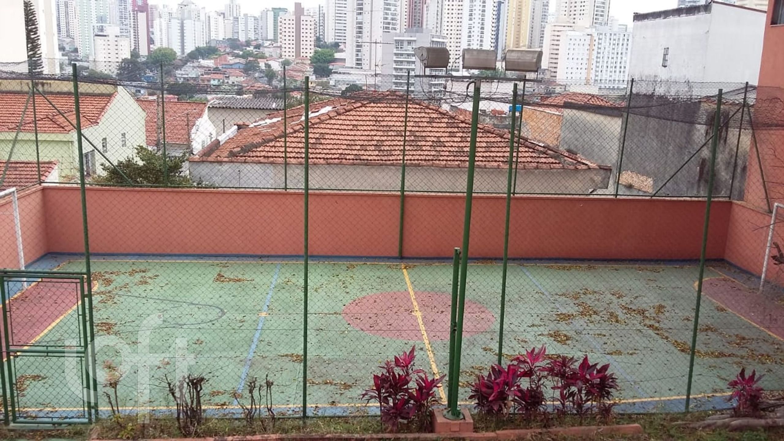 Imagem da propriedade 24