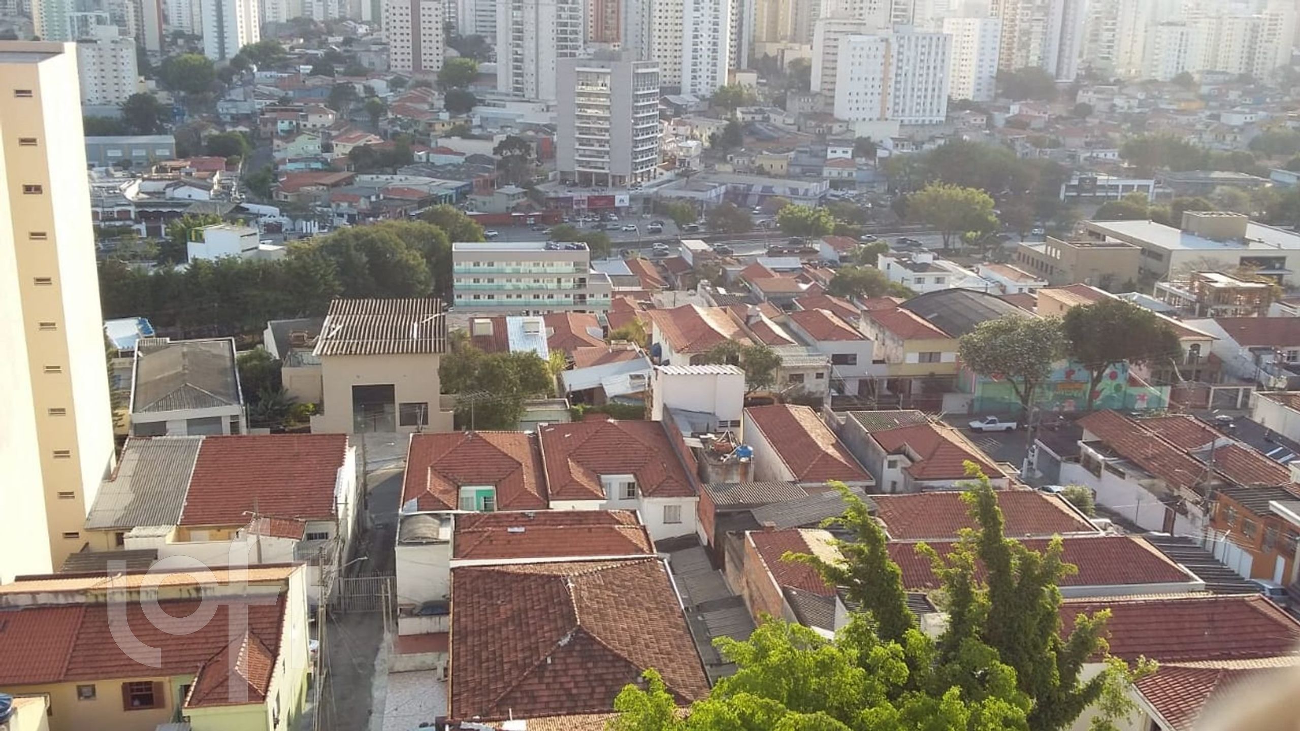 Imagem da propriedade 22
