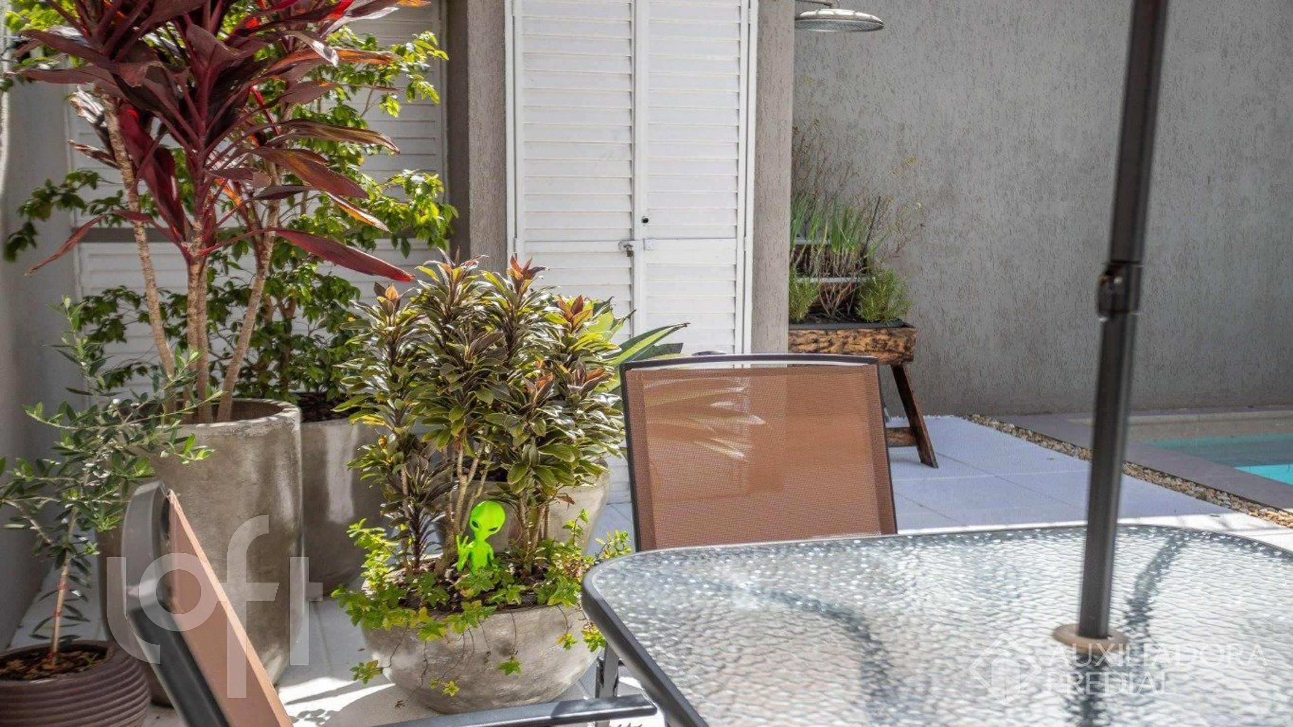 Imagem da propriedade 49