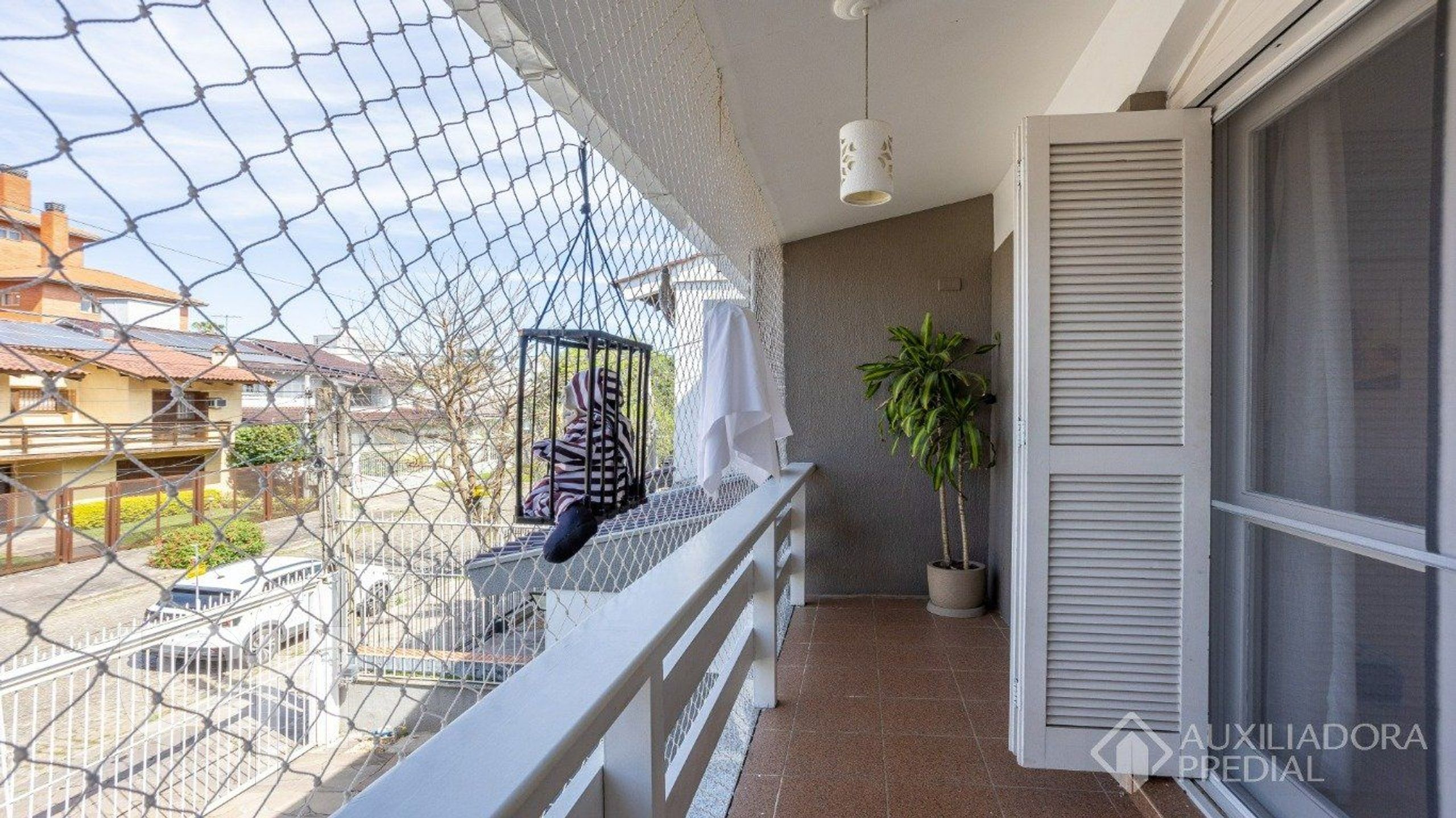 Imagem da propriedade 19