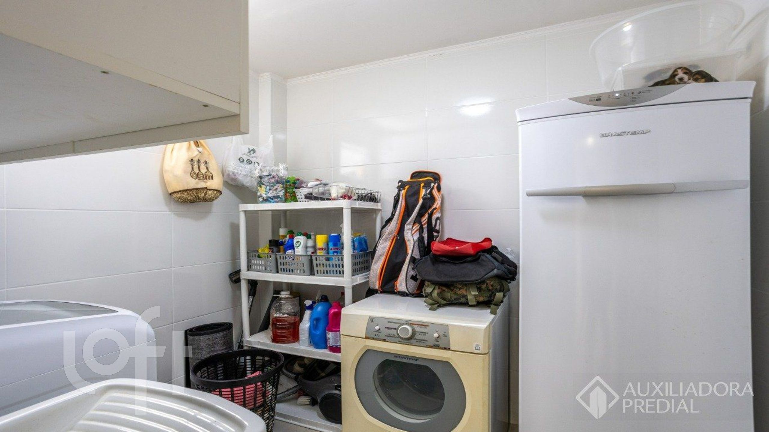 Imagem da propriedade 44