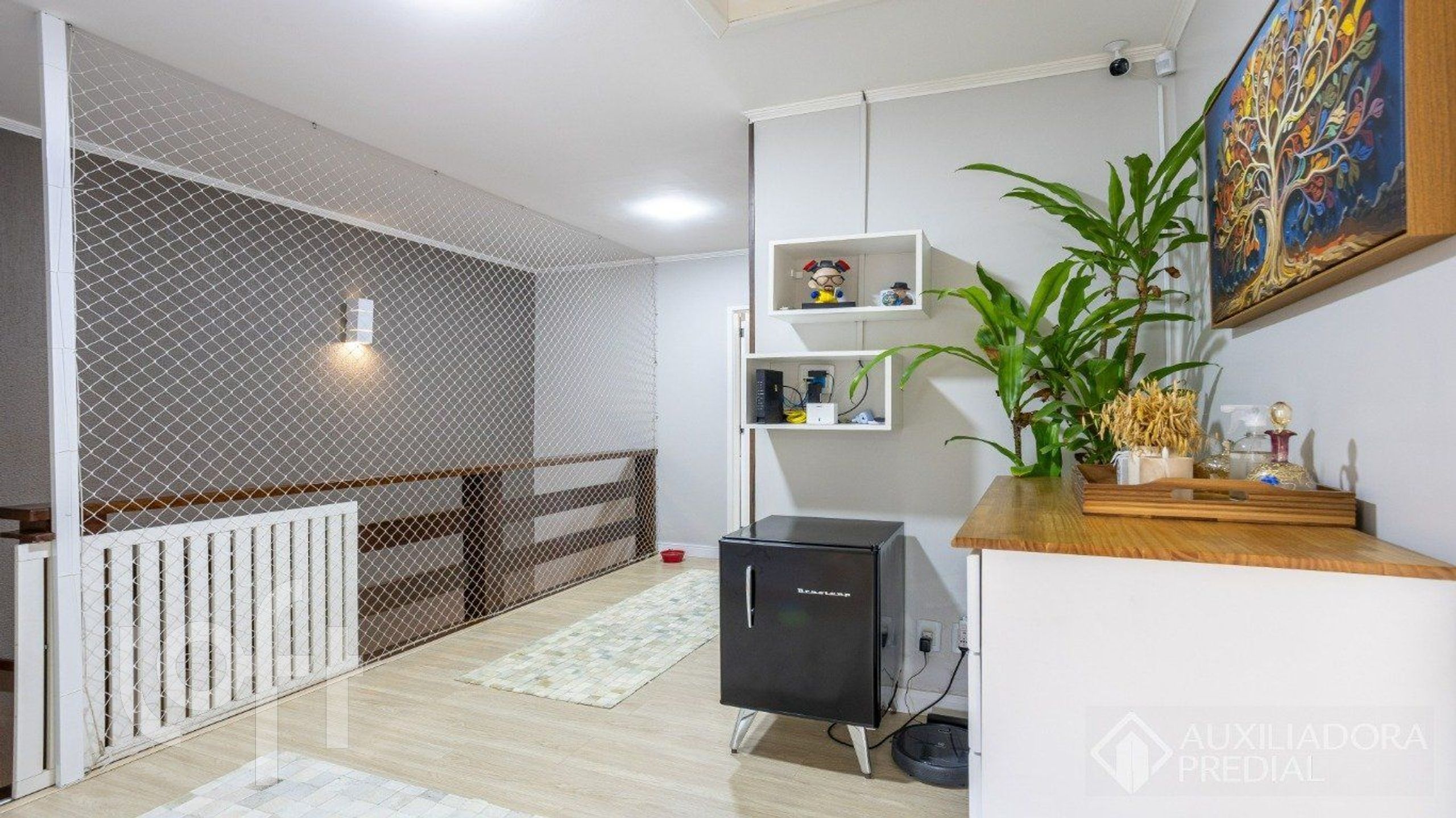 Imagem da propriedade 11