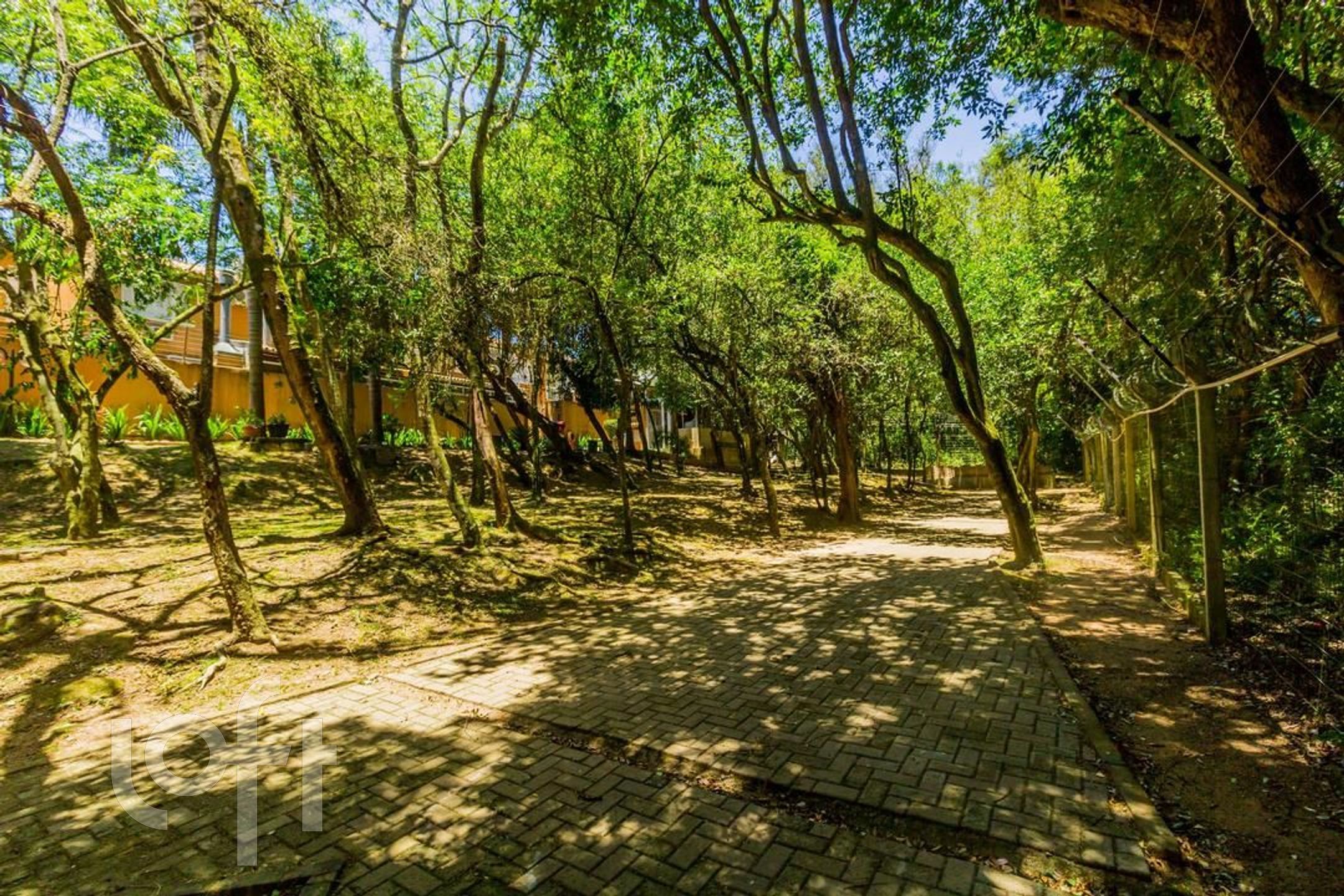 Imagem da propriedade 50