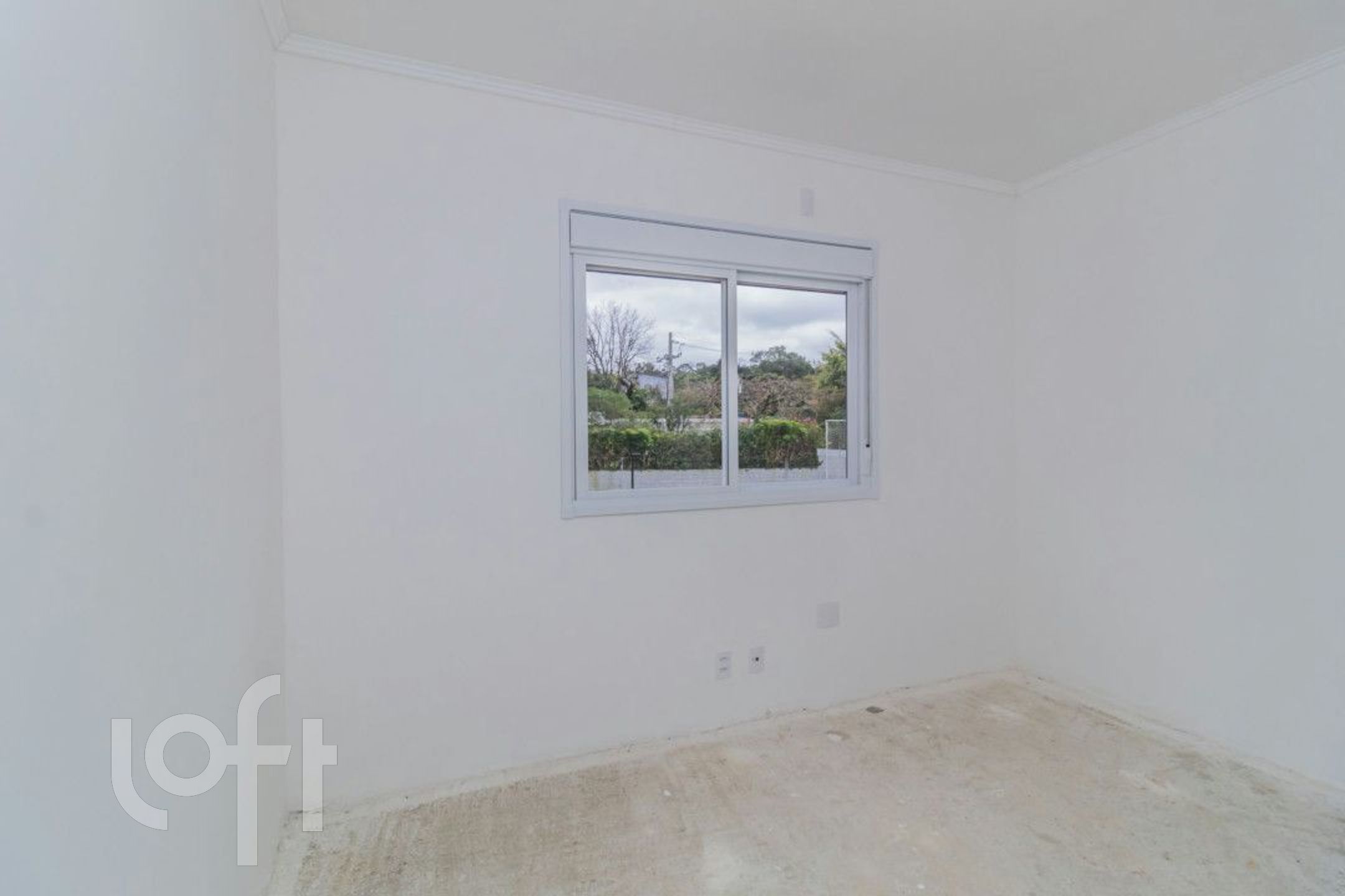 Imagem da propriedade 18