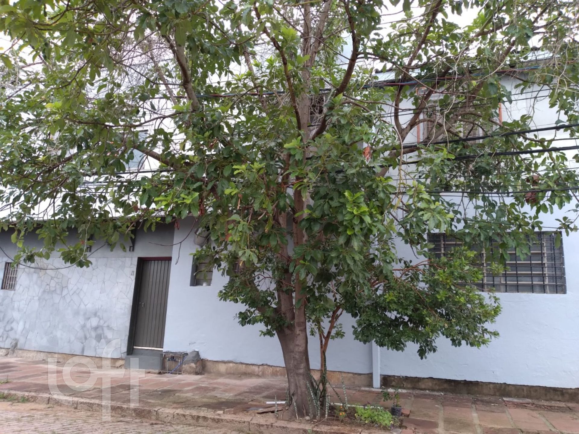 Imagem da propriedade 15