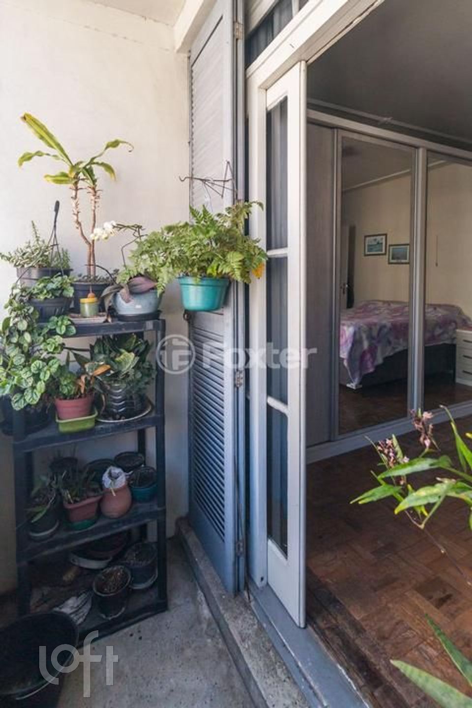 Imagem da propriedade 9