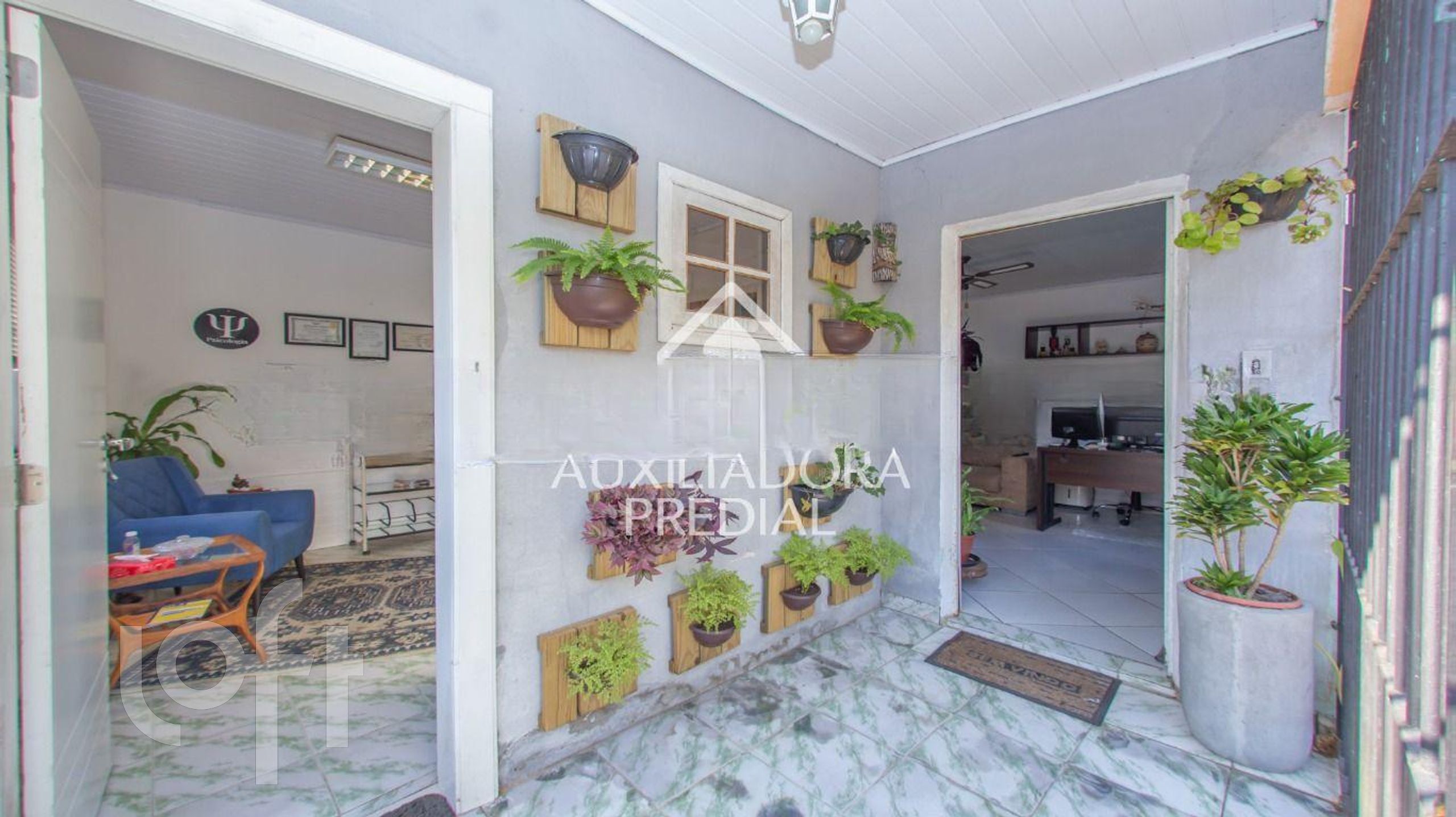 Imagem da propriedade 17