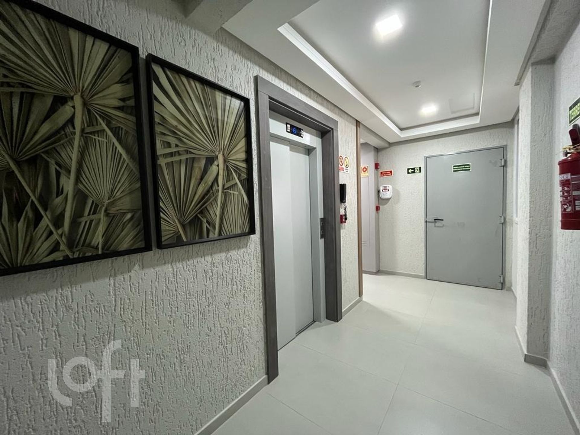 Imagem da propriedade 9