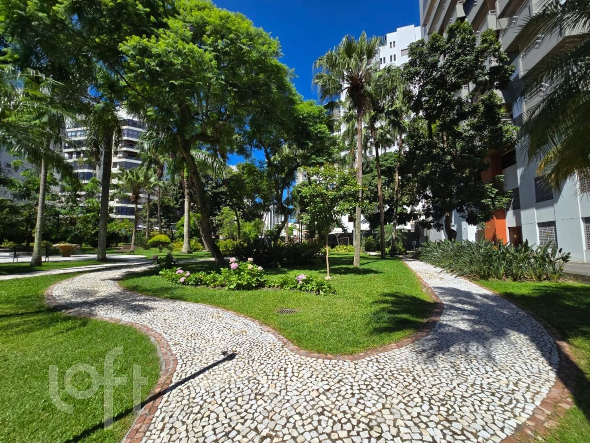 Imagem da propriedade 10
