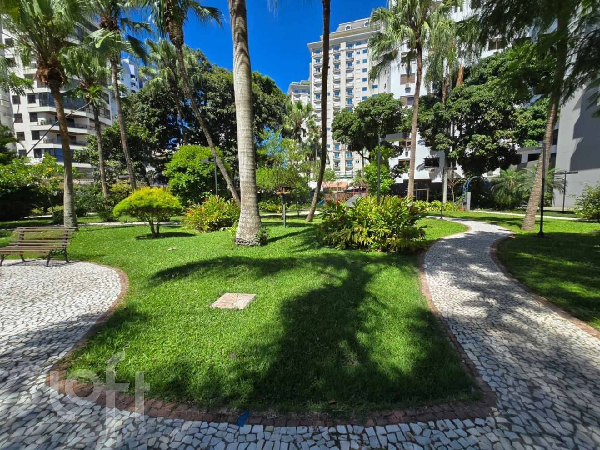 Imagem da propriedade 12