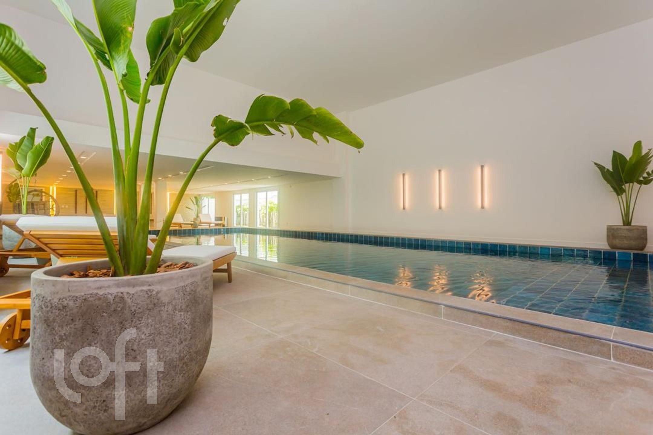 Imagem da propriedade 37