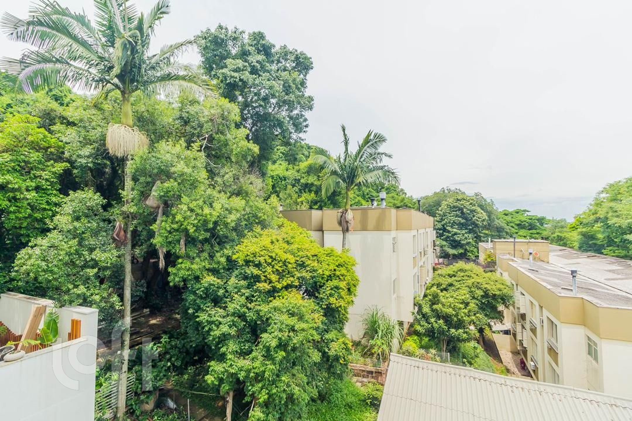 Imagem da propriedade 5