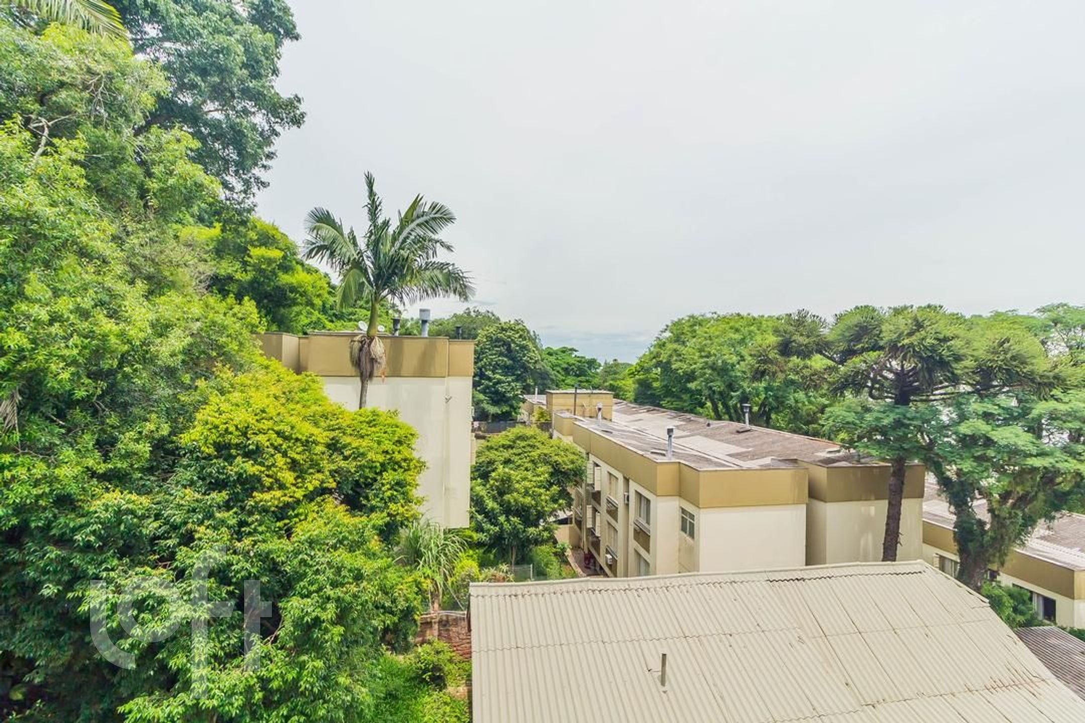 Imagem da propriedade 27