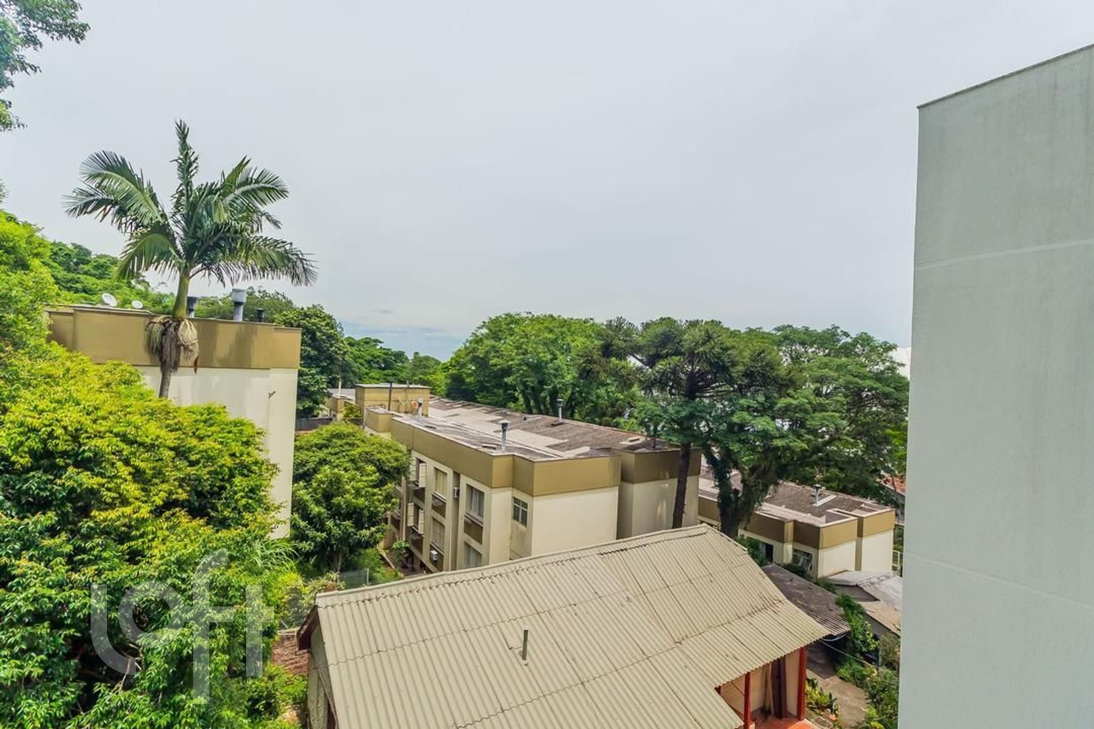 Imagem da propriedade 23