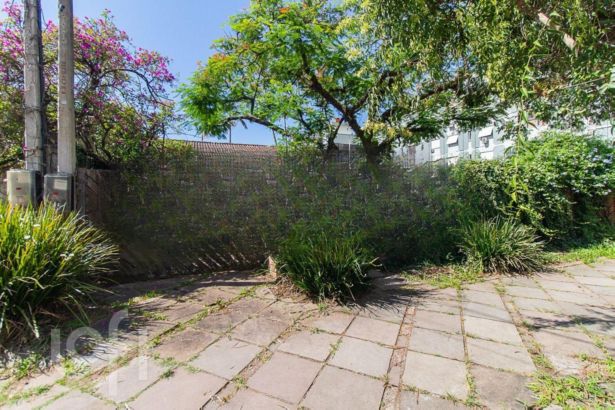 Imagem da propriedade 24