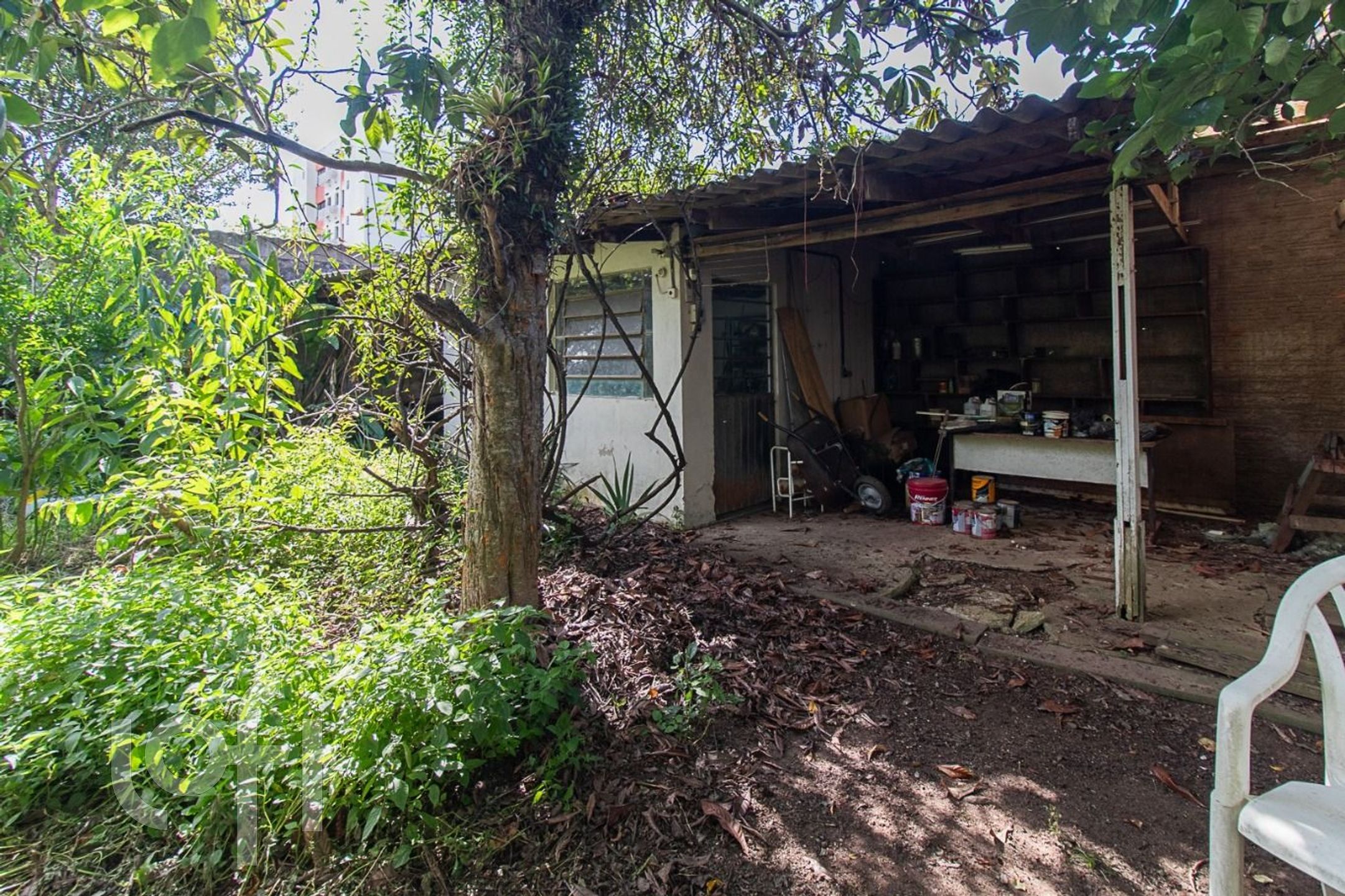 Imagem da propriedade 31