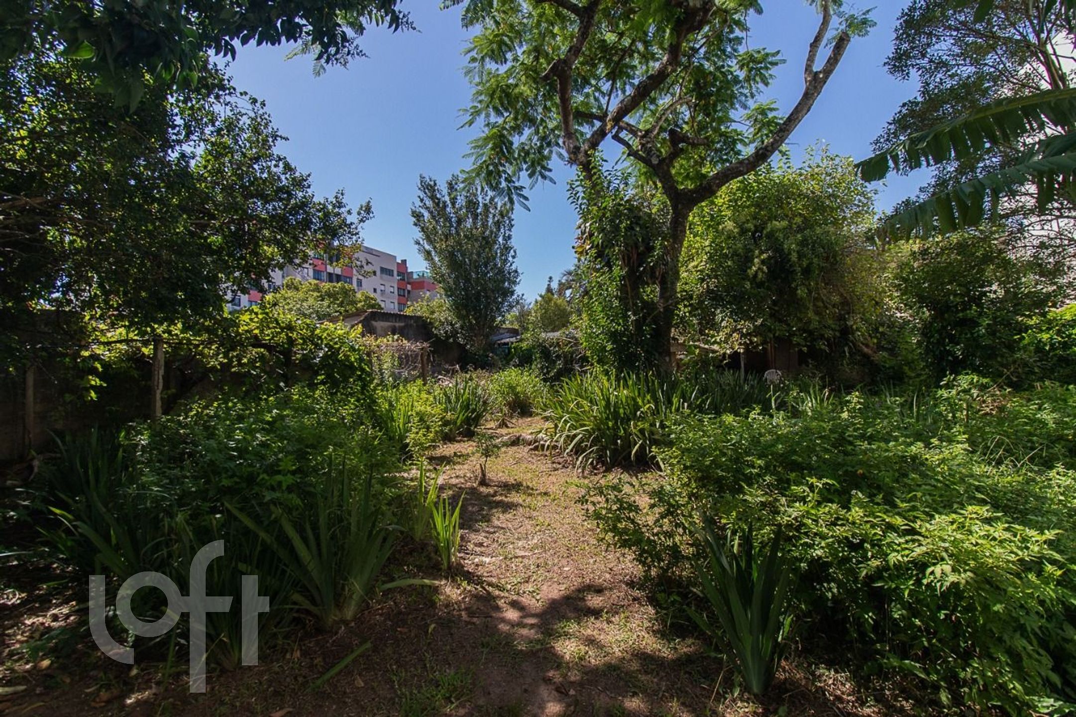 Imagem da propriedade 29